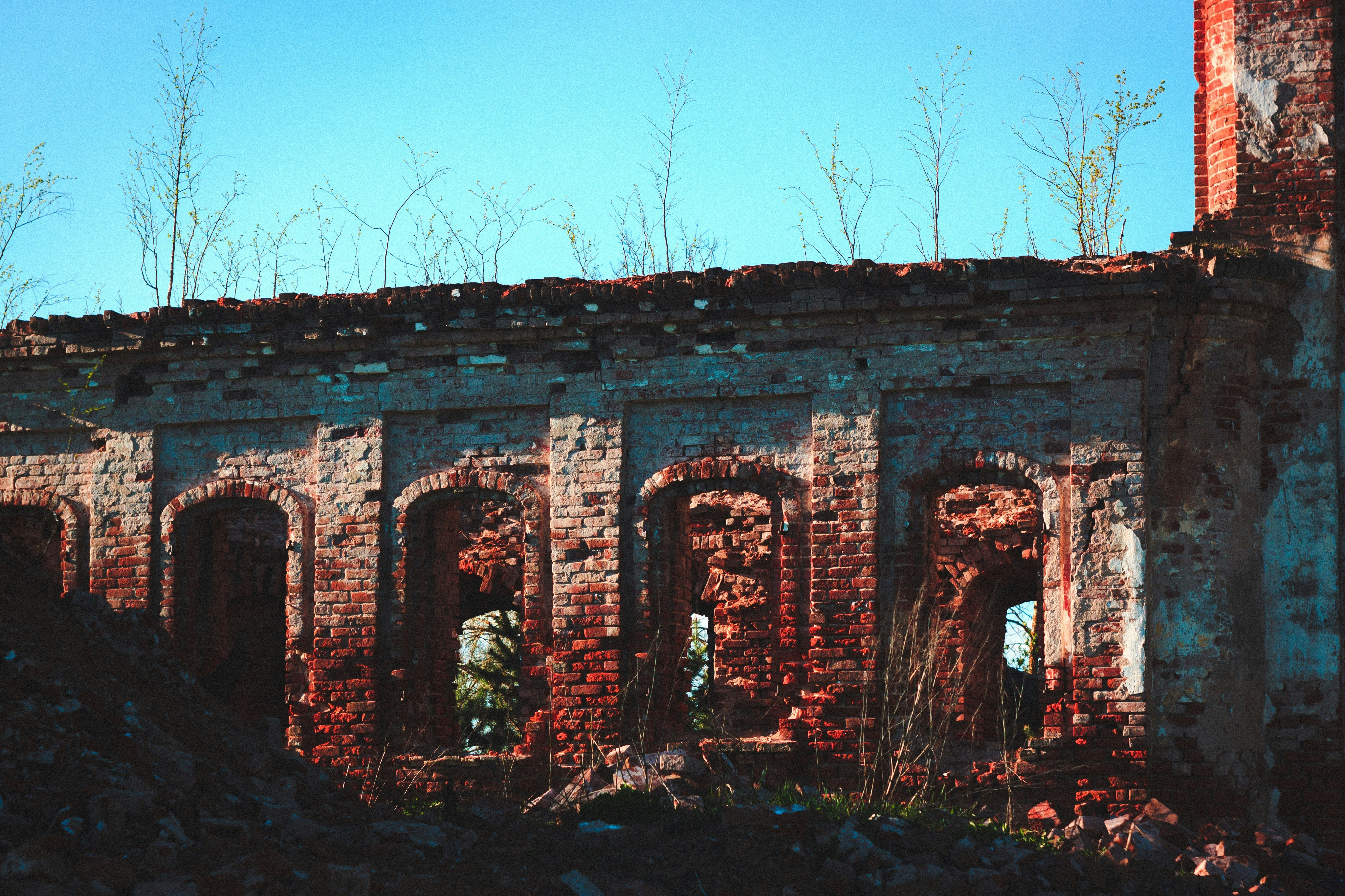 Photo by denmirov