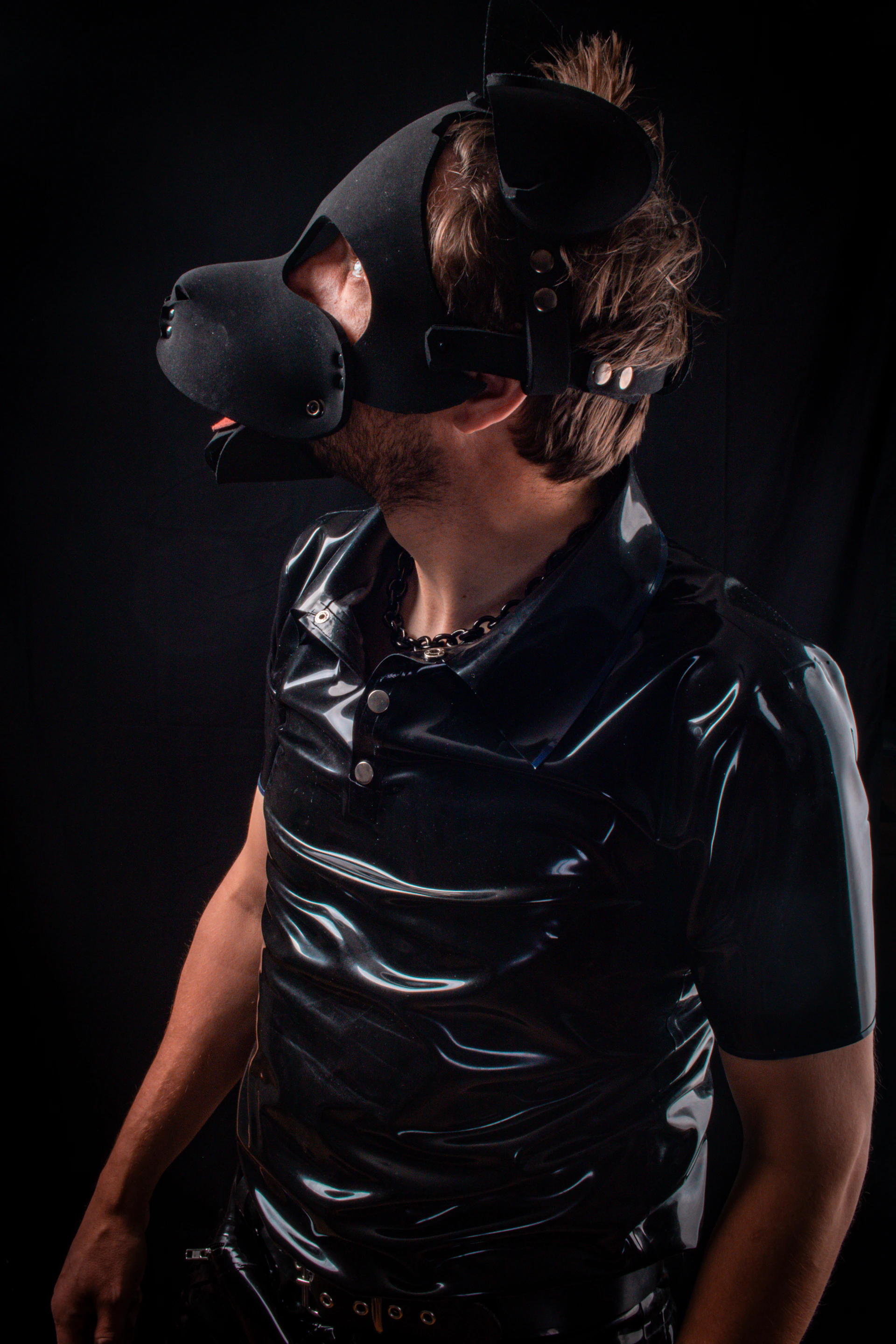 Person in a black latex shirt and puppy hood.