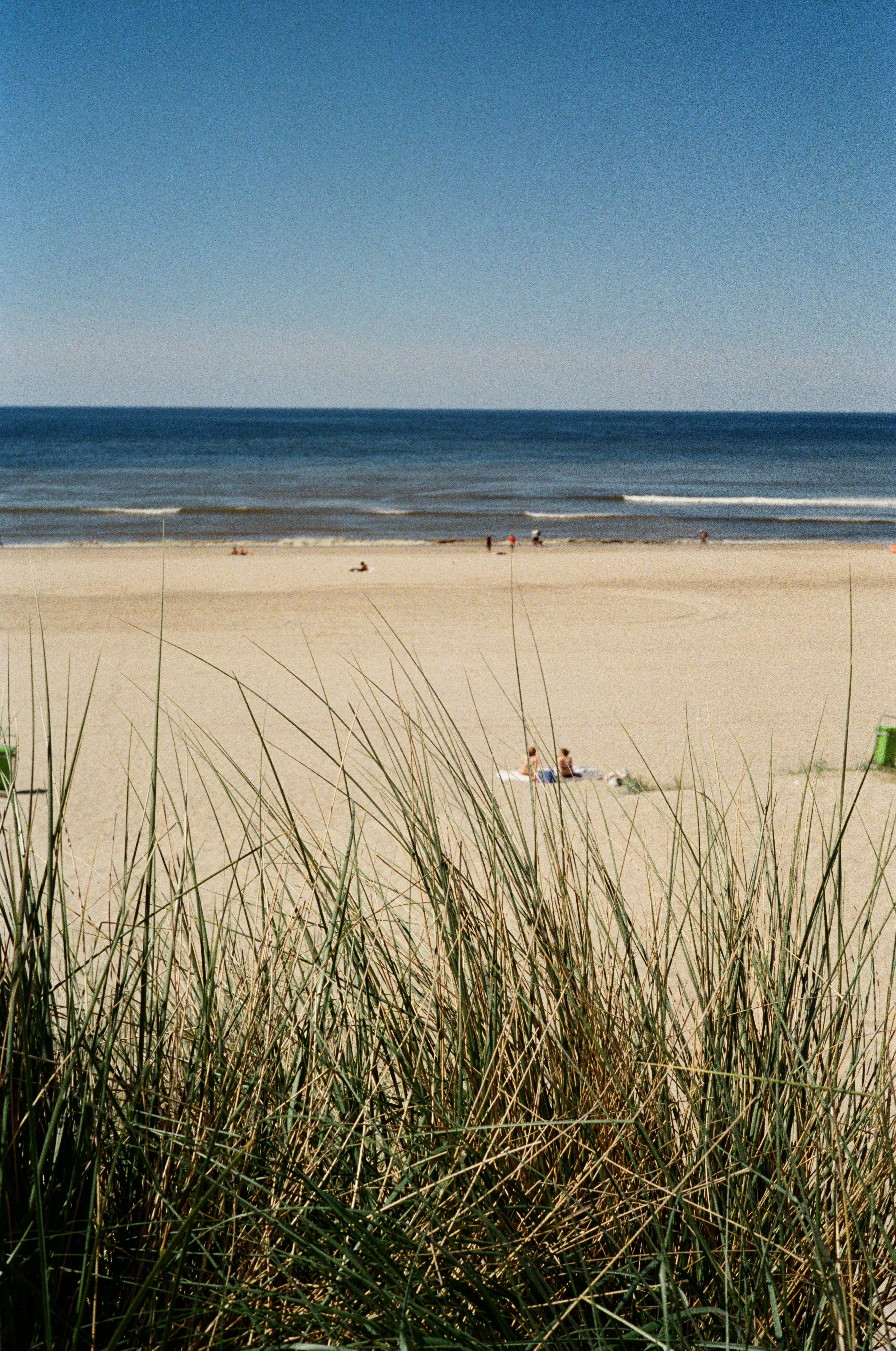 People relaxing on a sandy beach with ocean waves.
