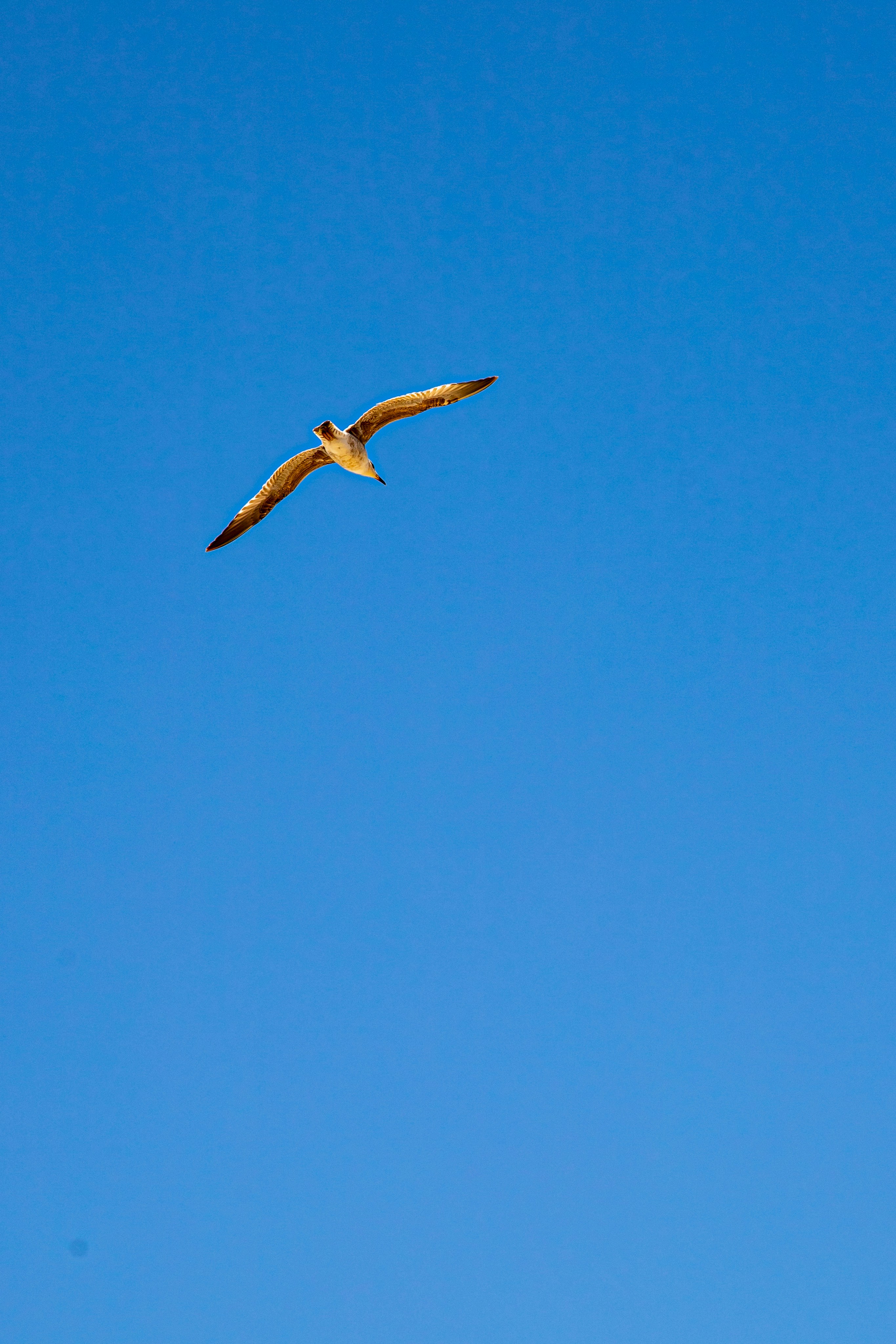Photo by hdbernd