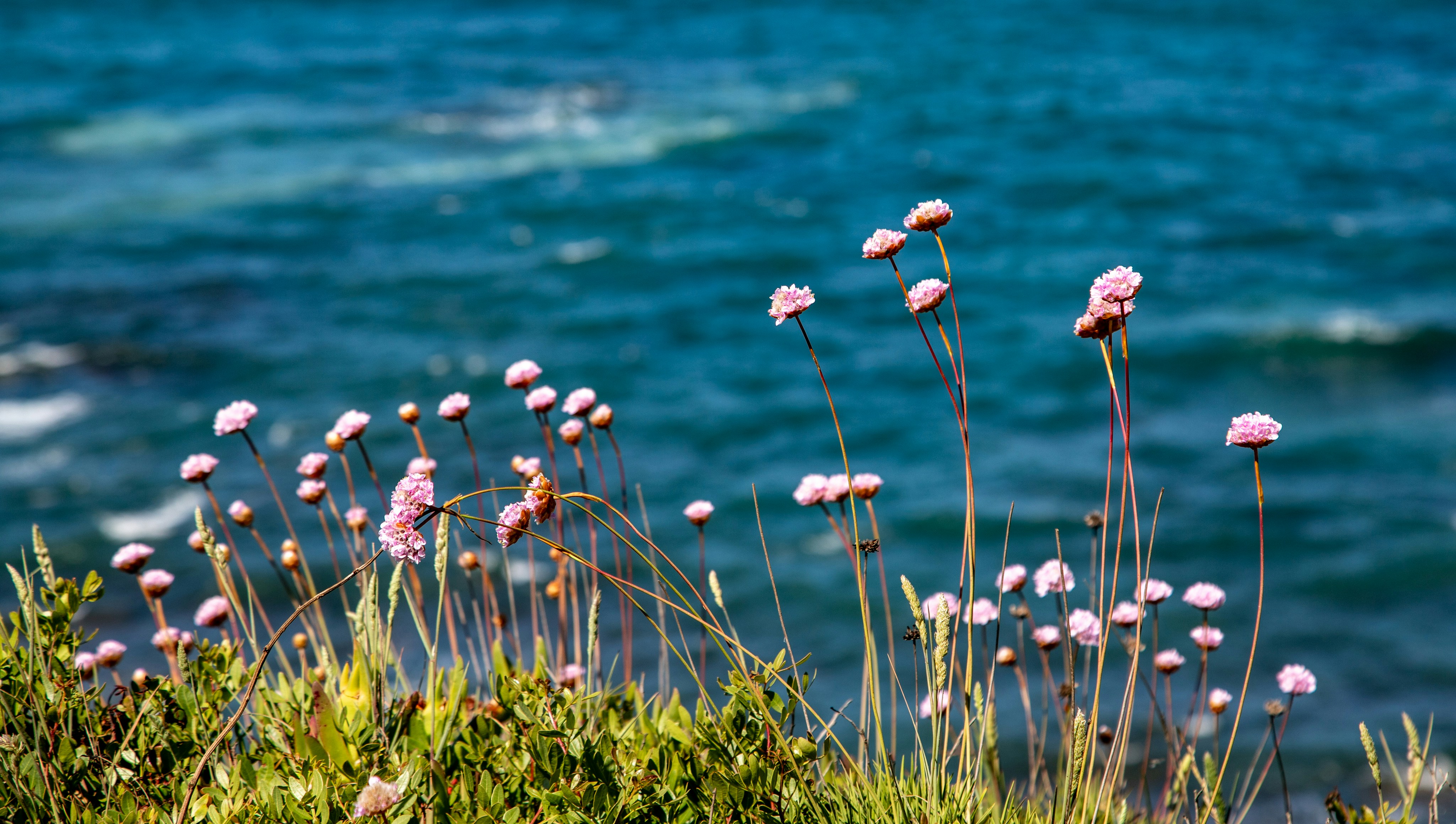 Photo by hdbernd