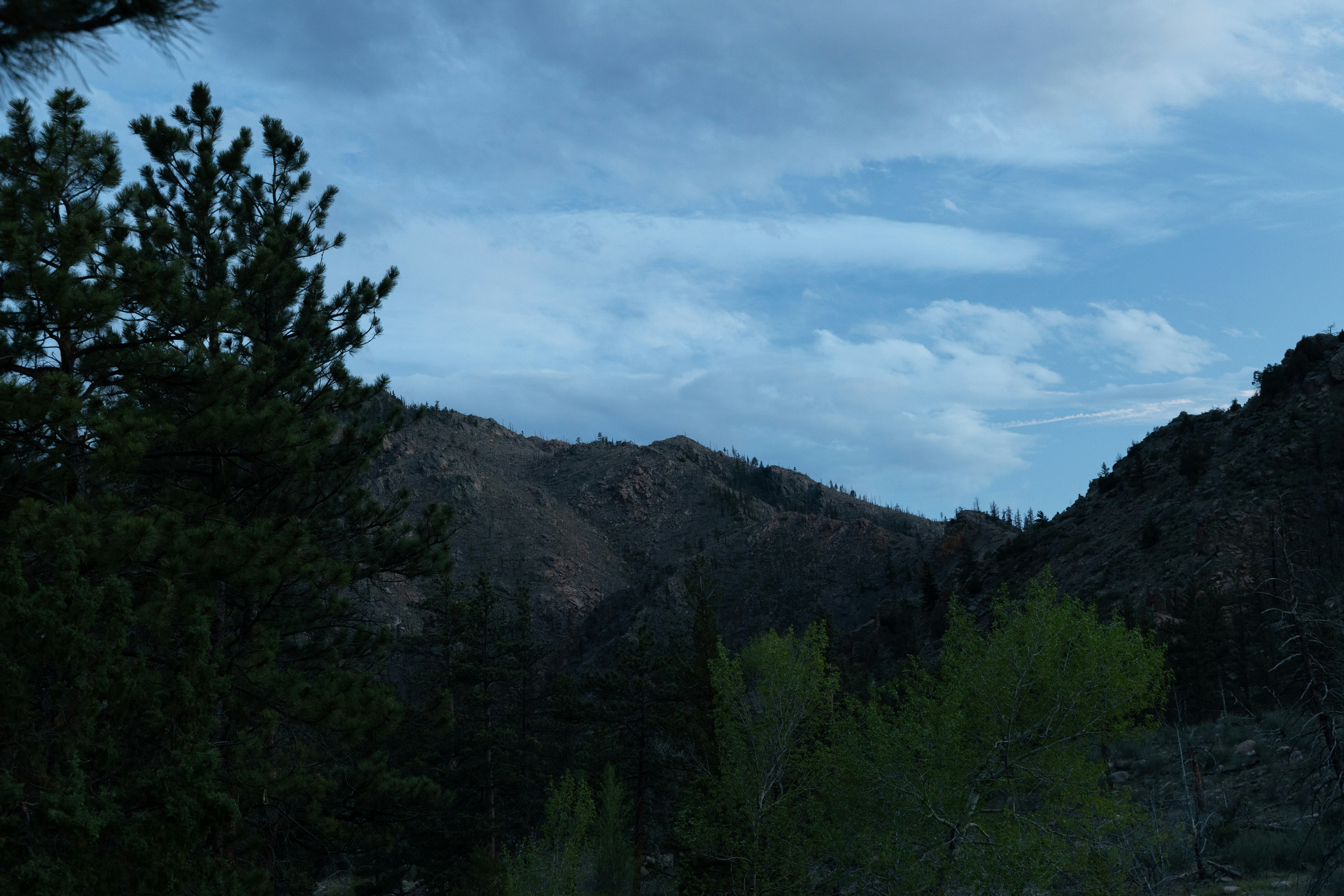Photo by ldpeterson11