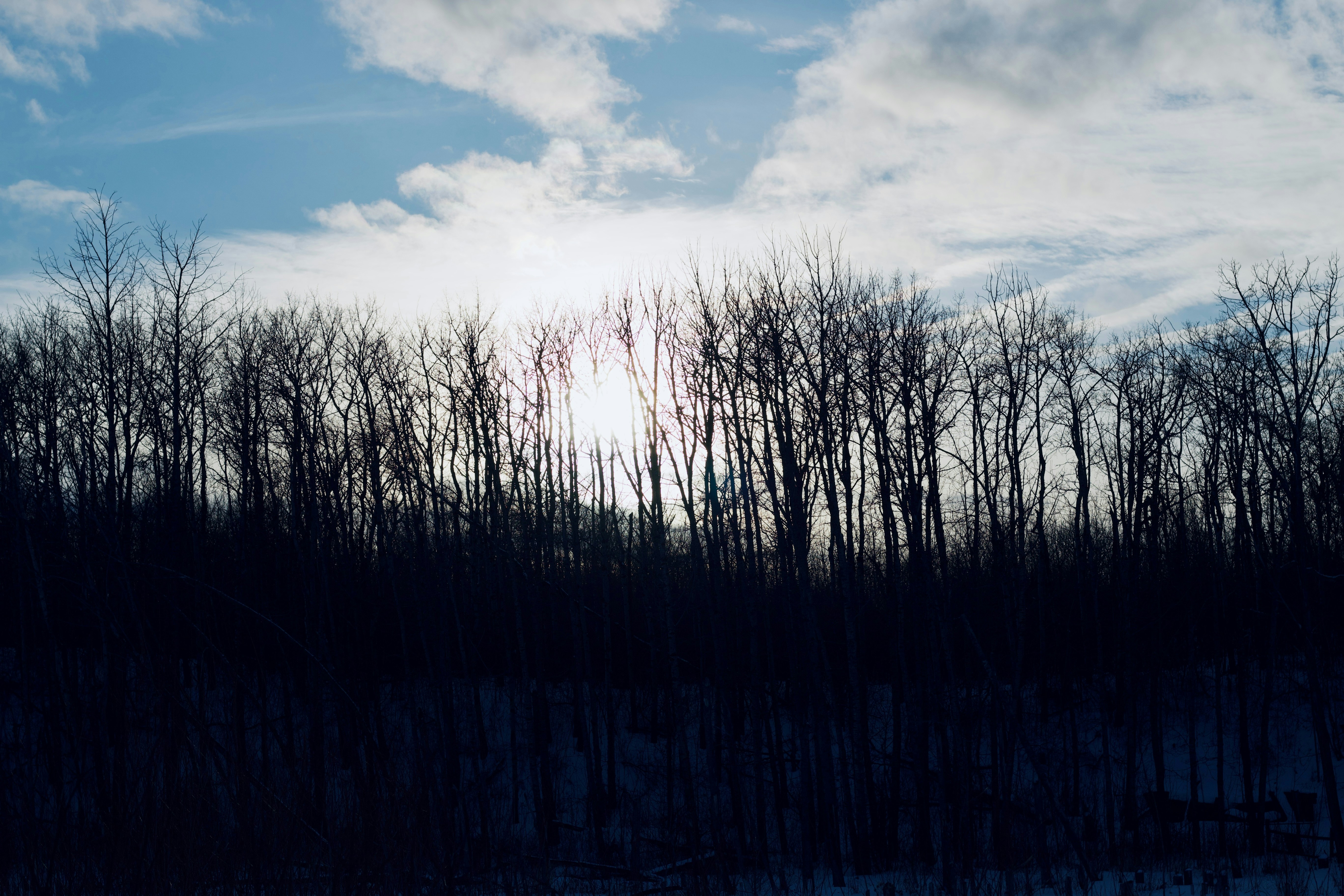 Photo by williamdmytrow