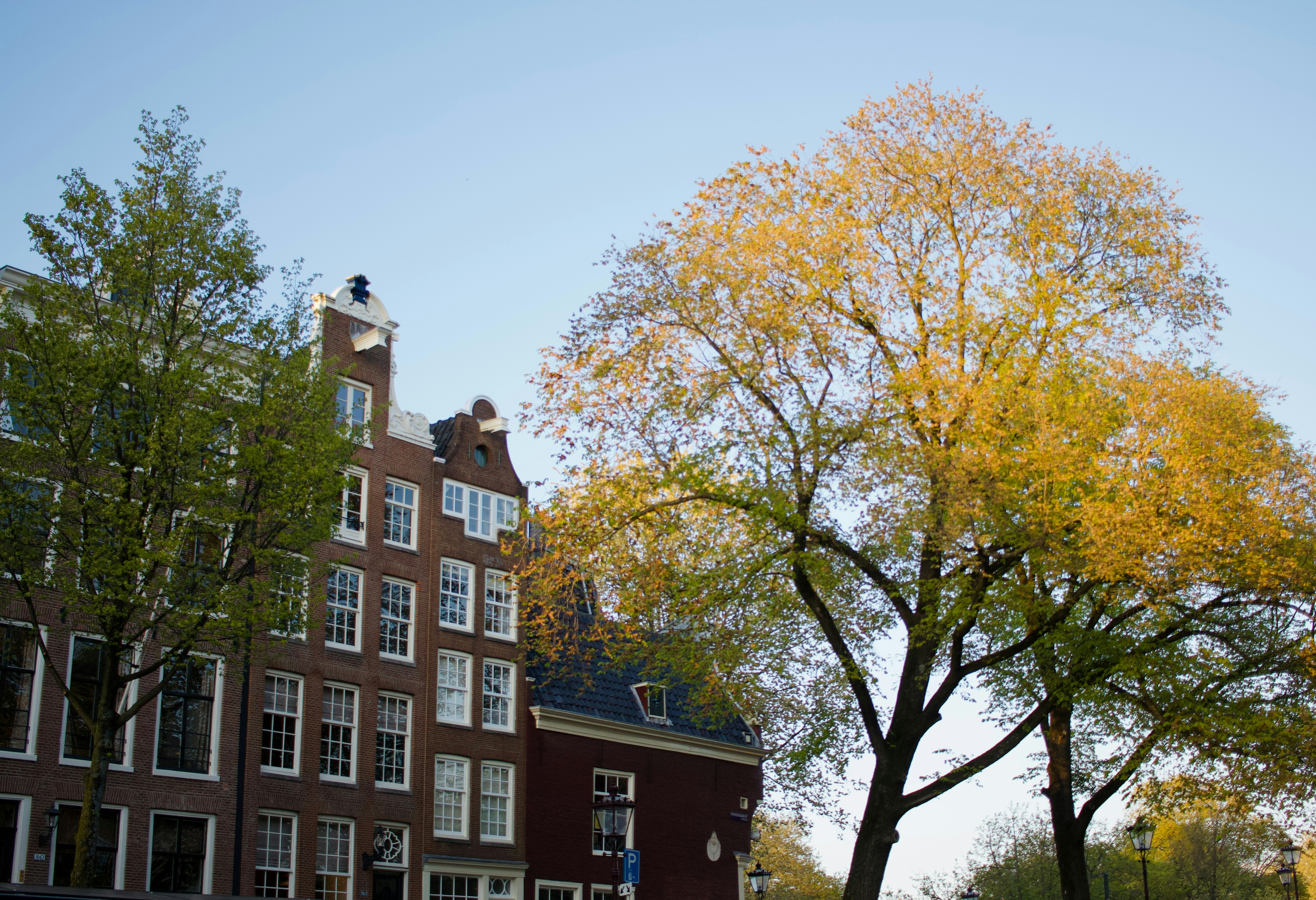 Photo by williamdmytrow