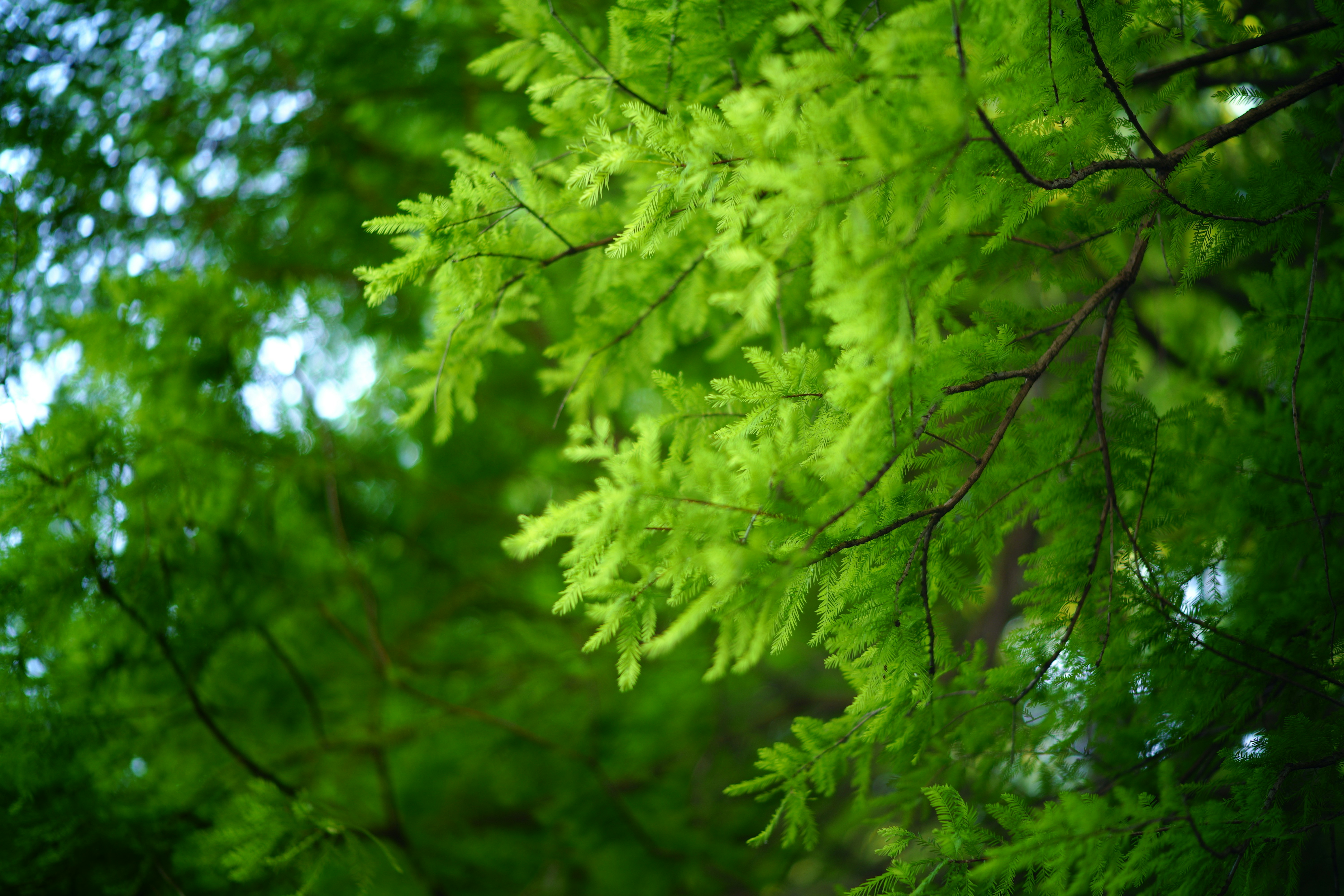 Photo by hydrangeaa