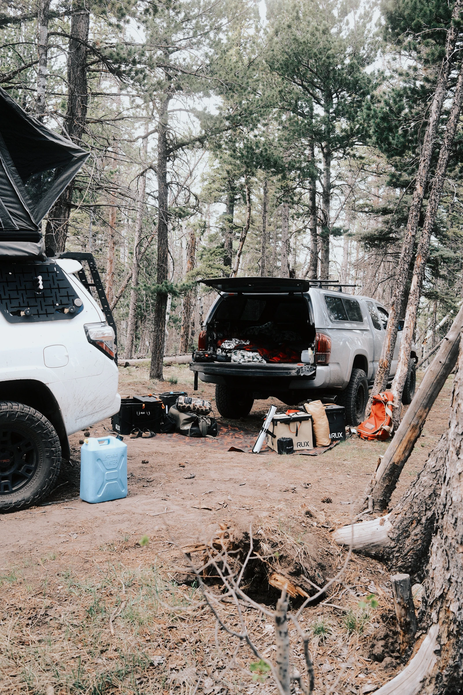 Camping gear, storage equipment and outdoor travel supplies at a forest campsite