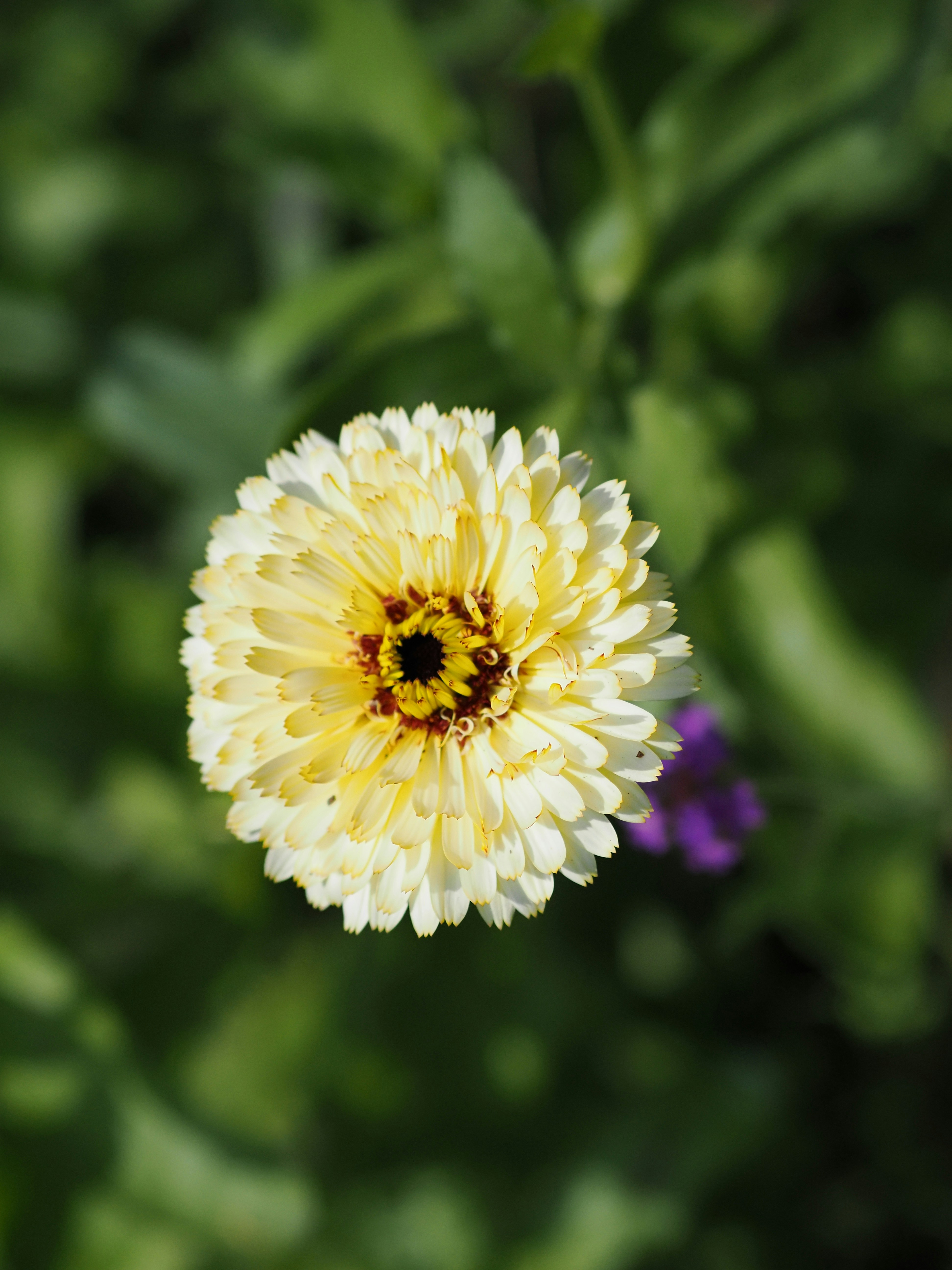 Photo by mitsubisi