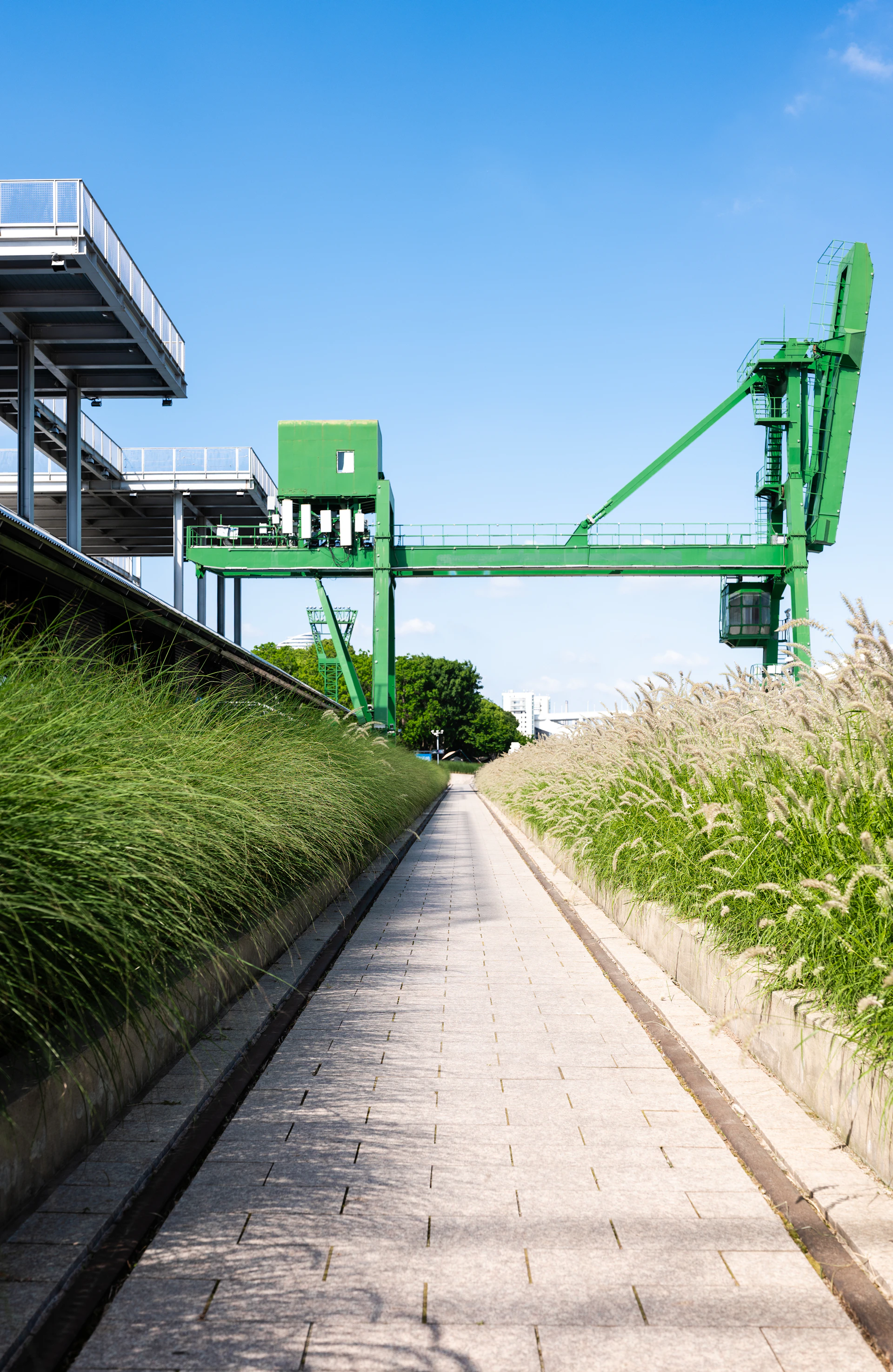 A green industrial crane stands over a pathway.