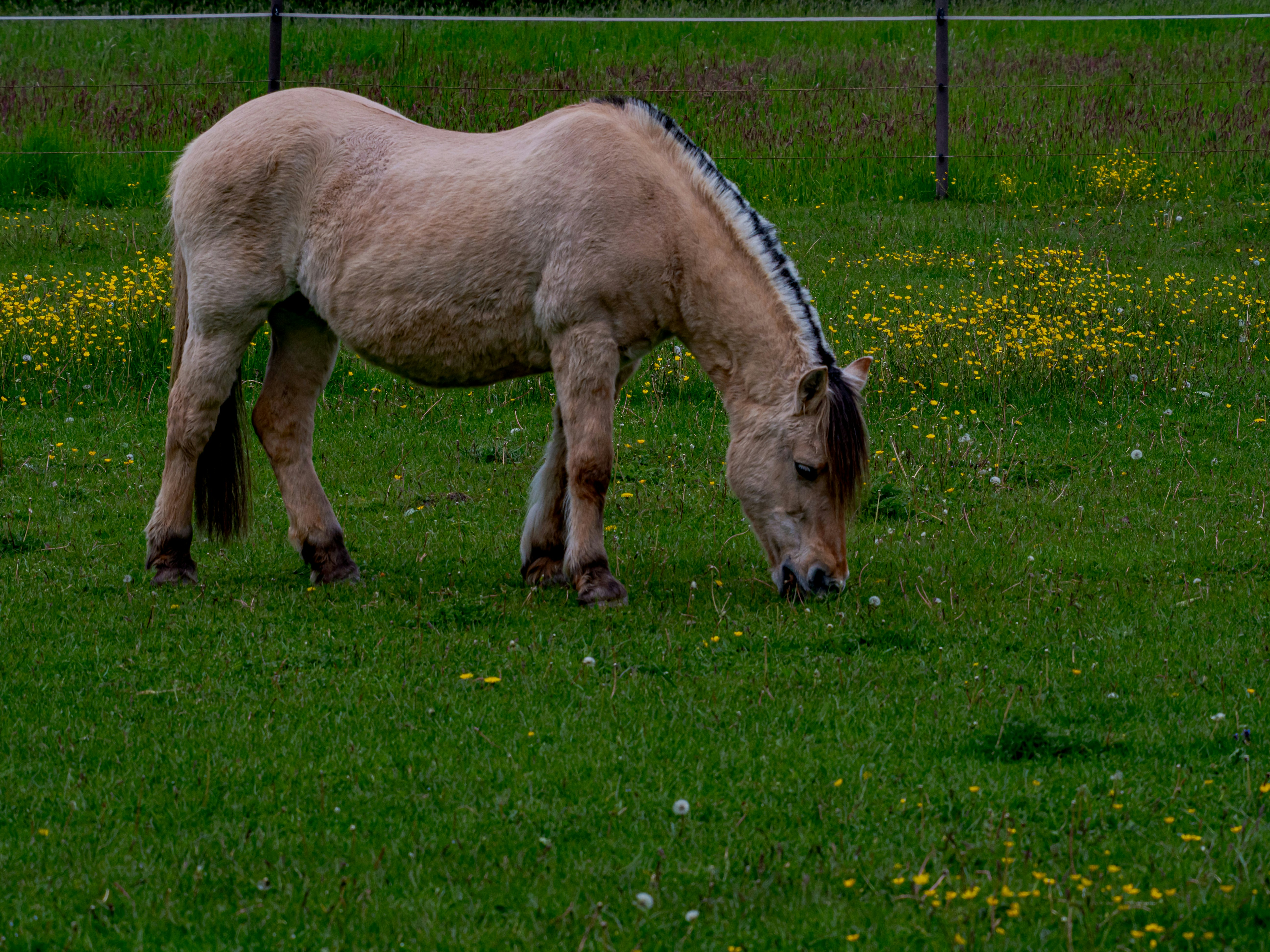 Photo by skstrannik