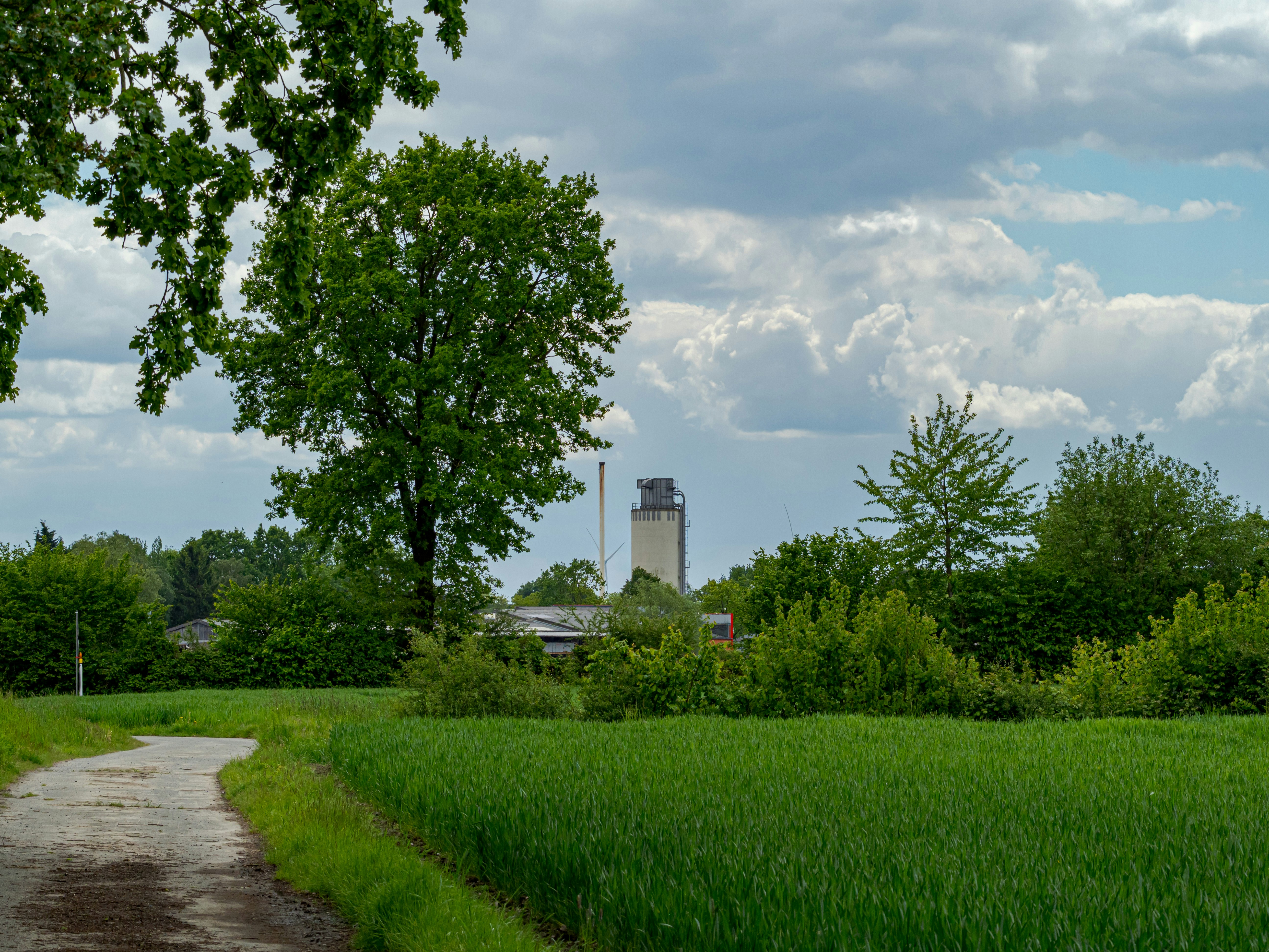 Photo by skstrannik
