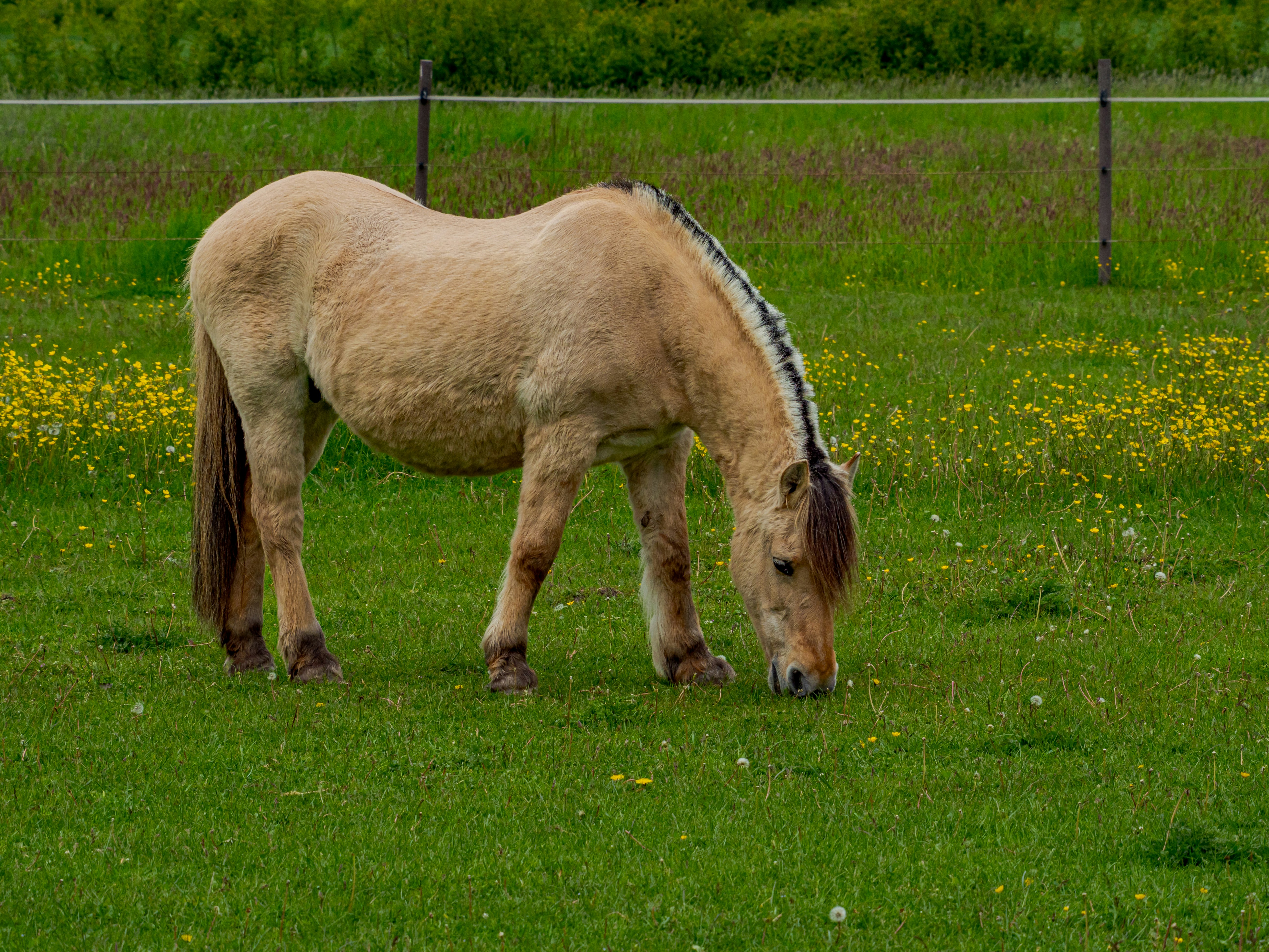 Photo by skstrannik