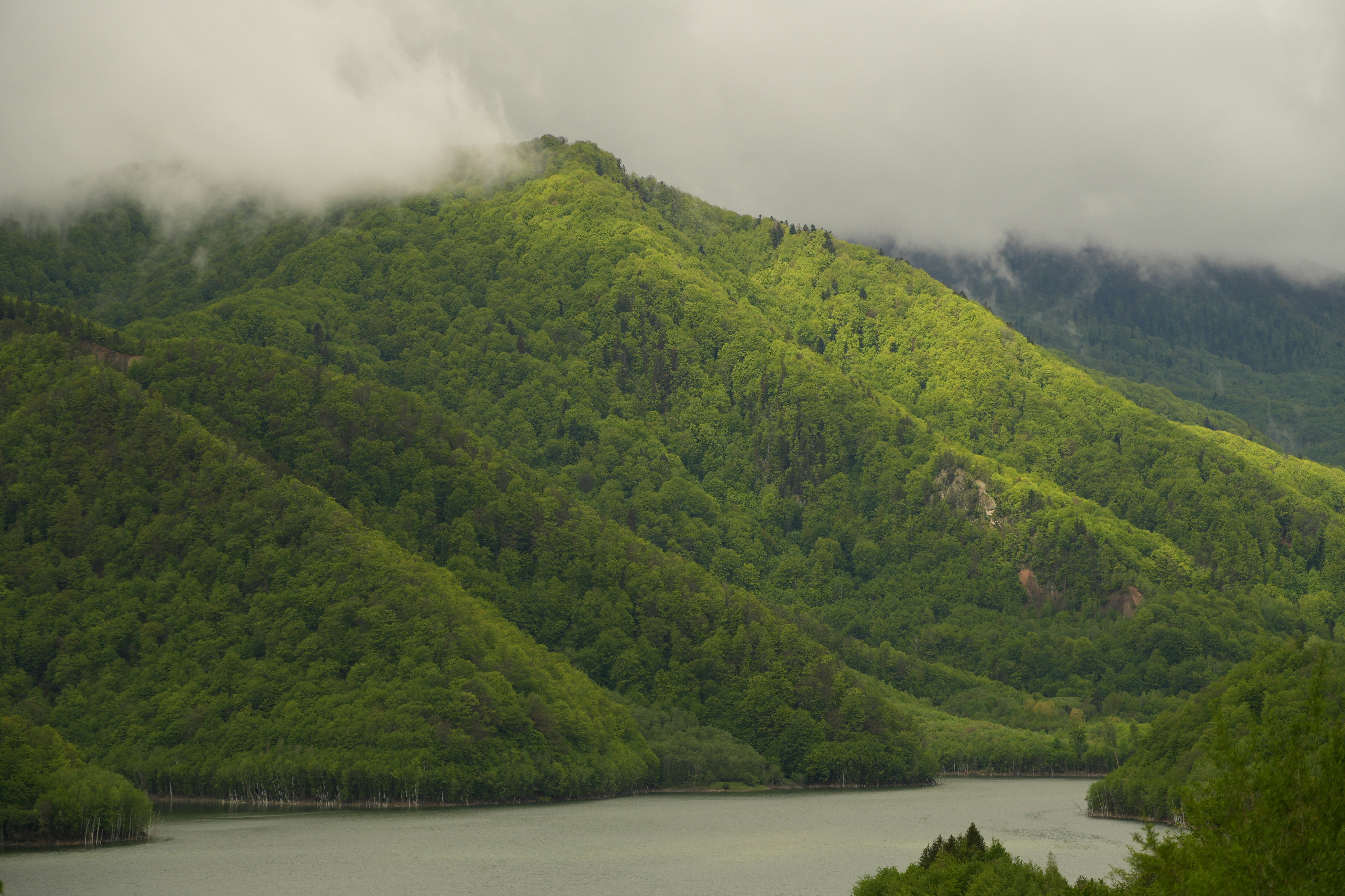 Photo by vladutremus