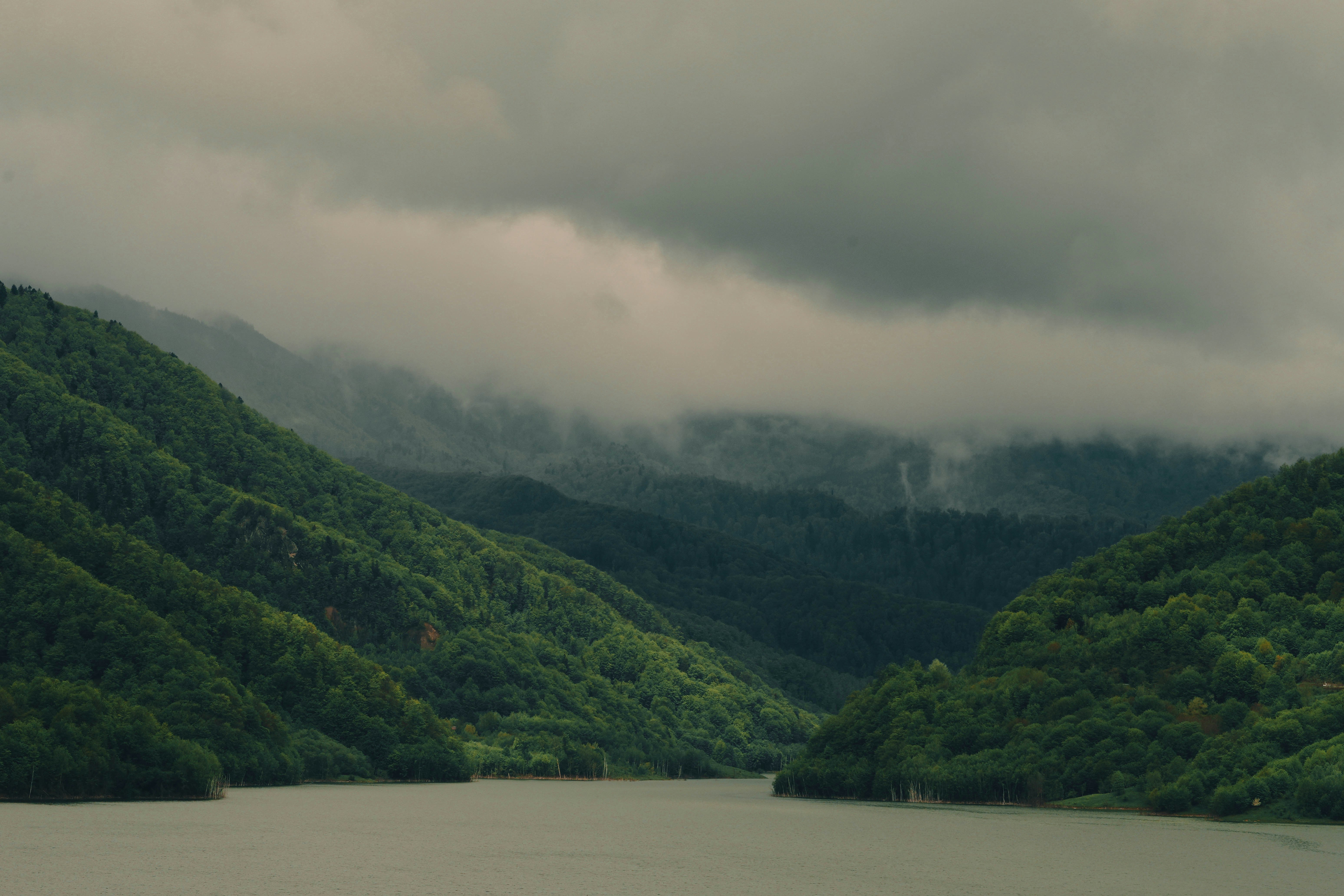 Photo by vladutremus