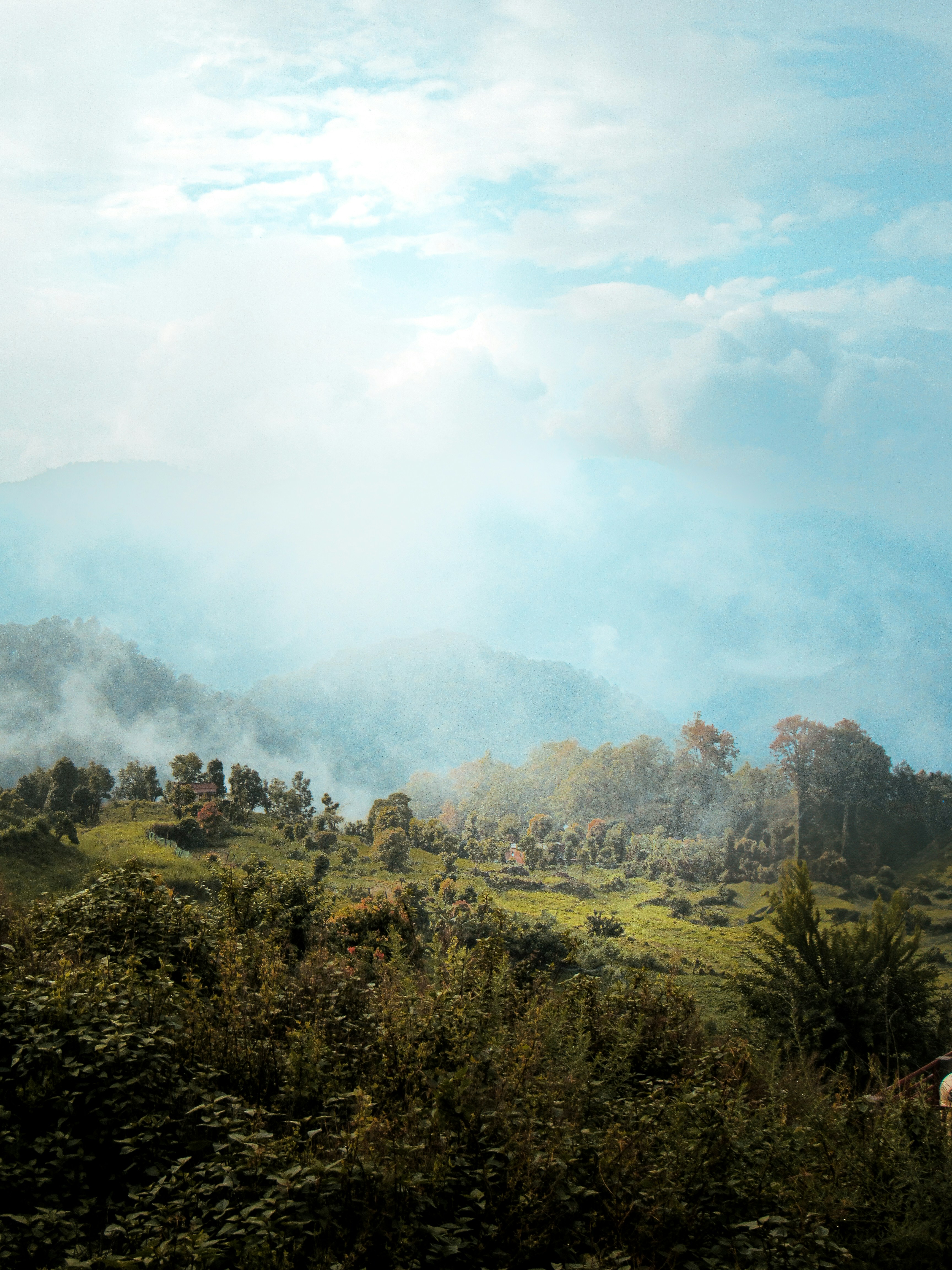 Misty mountains with green trees and blue sky