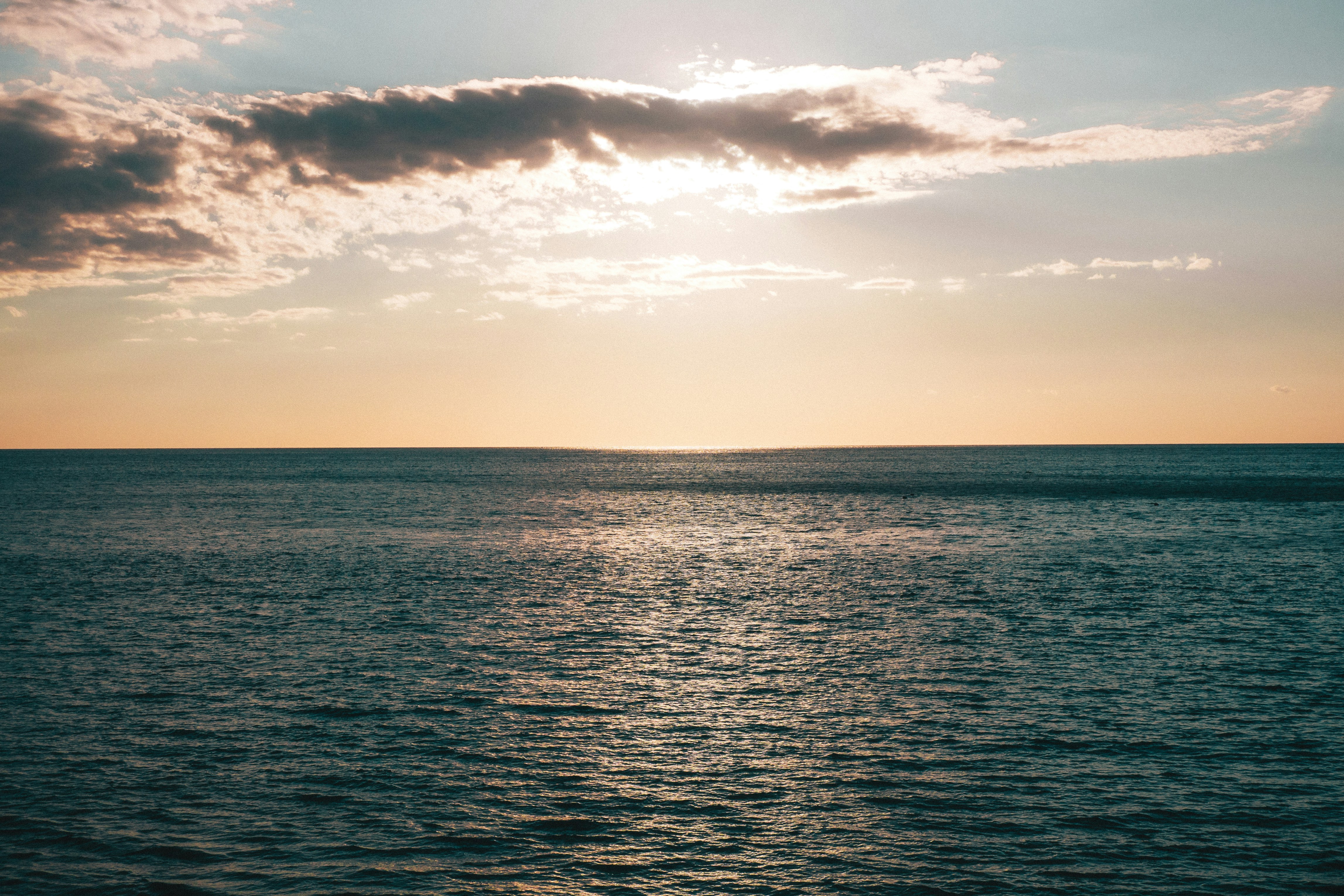 Photo by miraxh