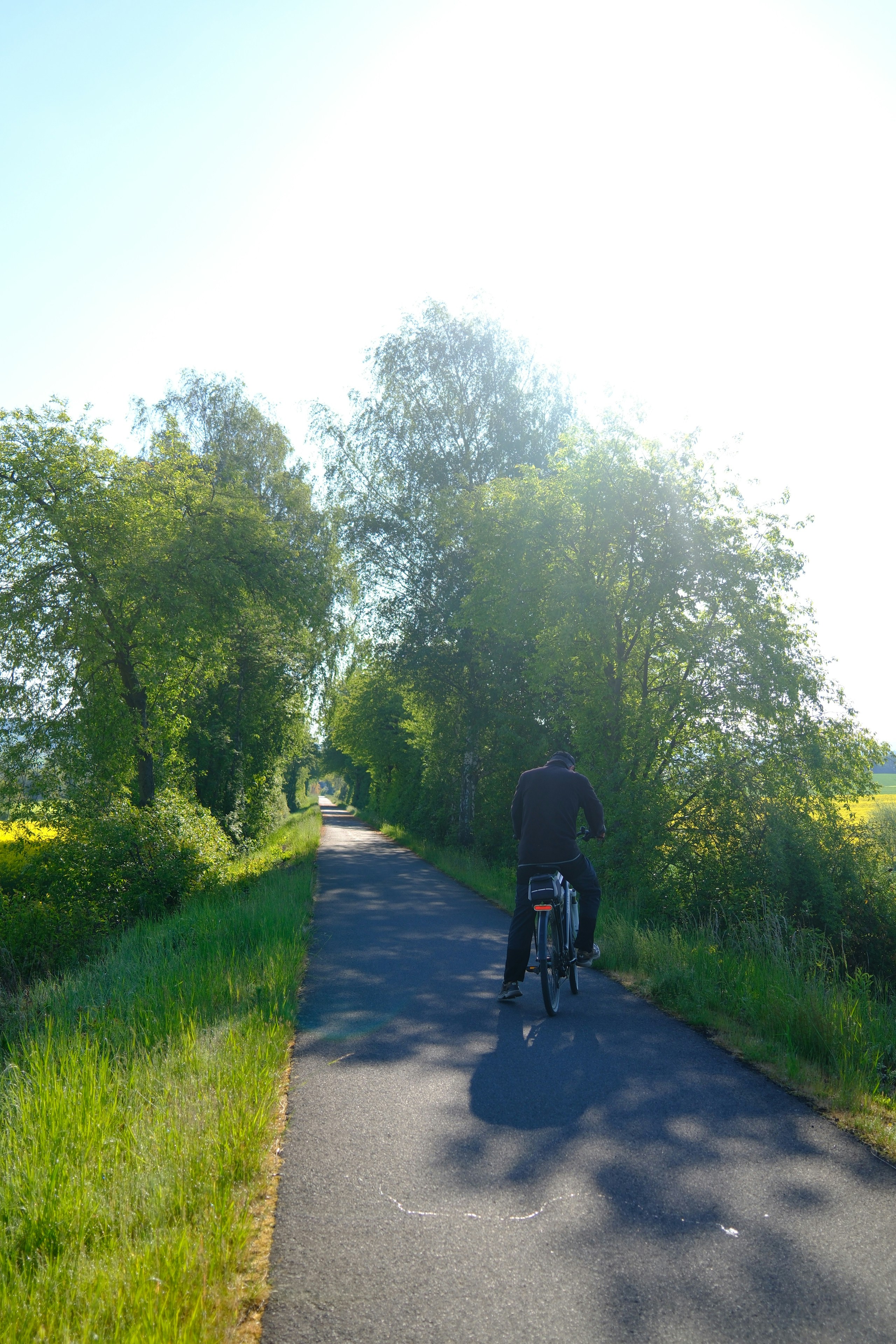 A person bikes down a sunny tree-lined path.
