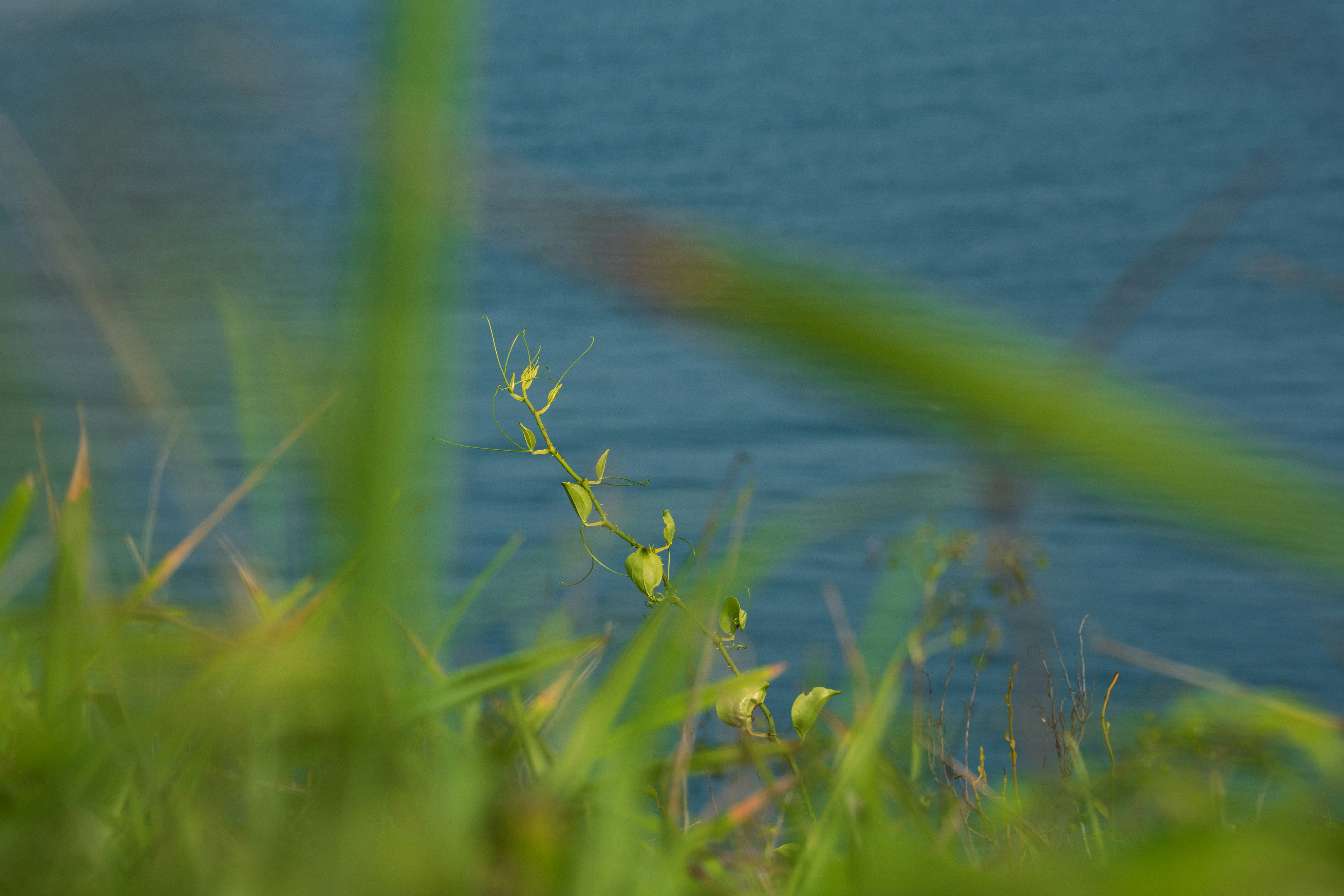 Photo by tyr123