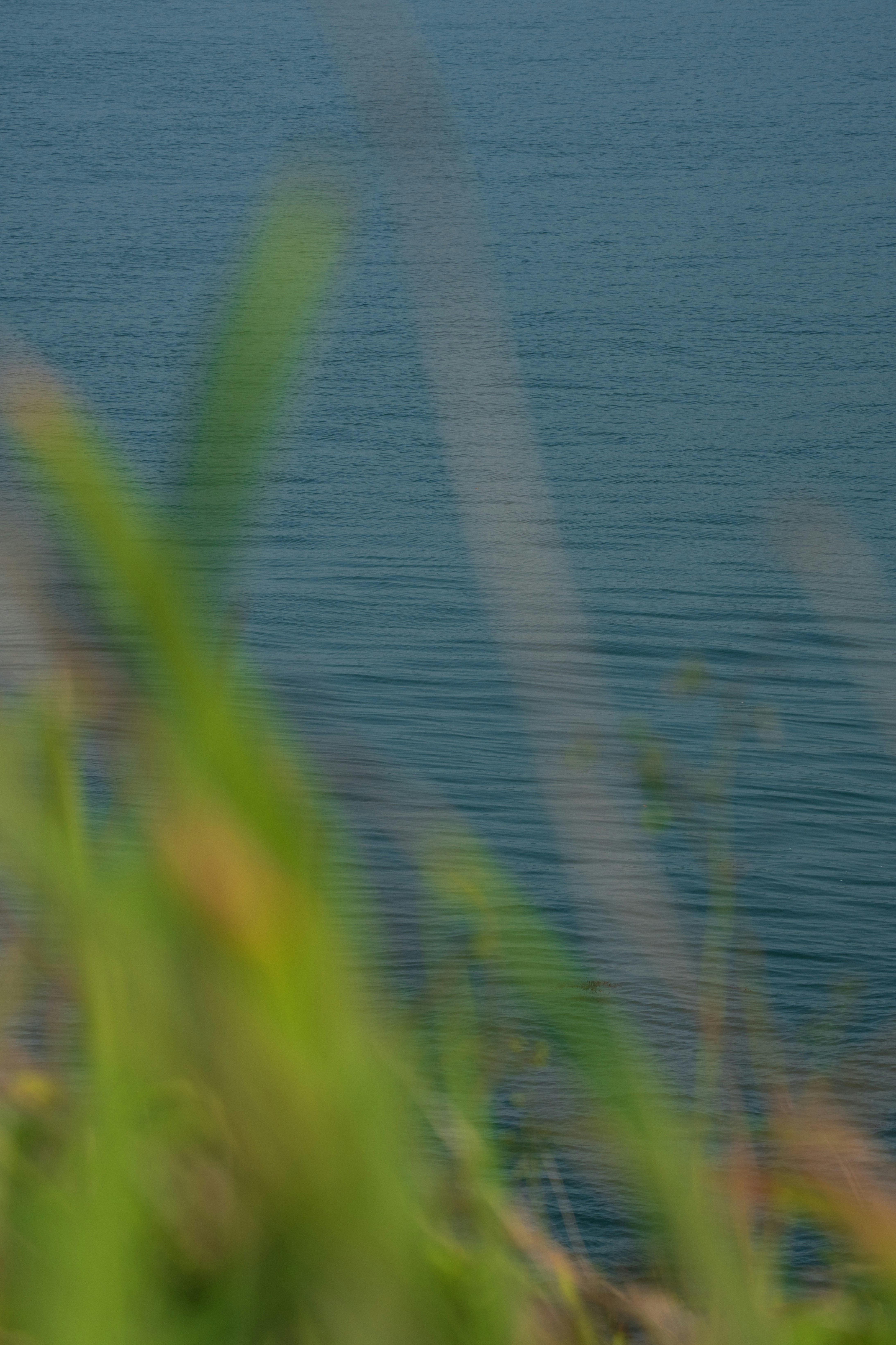 Photo by tyr123
