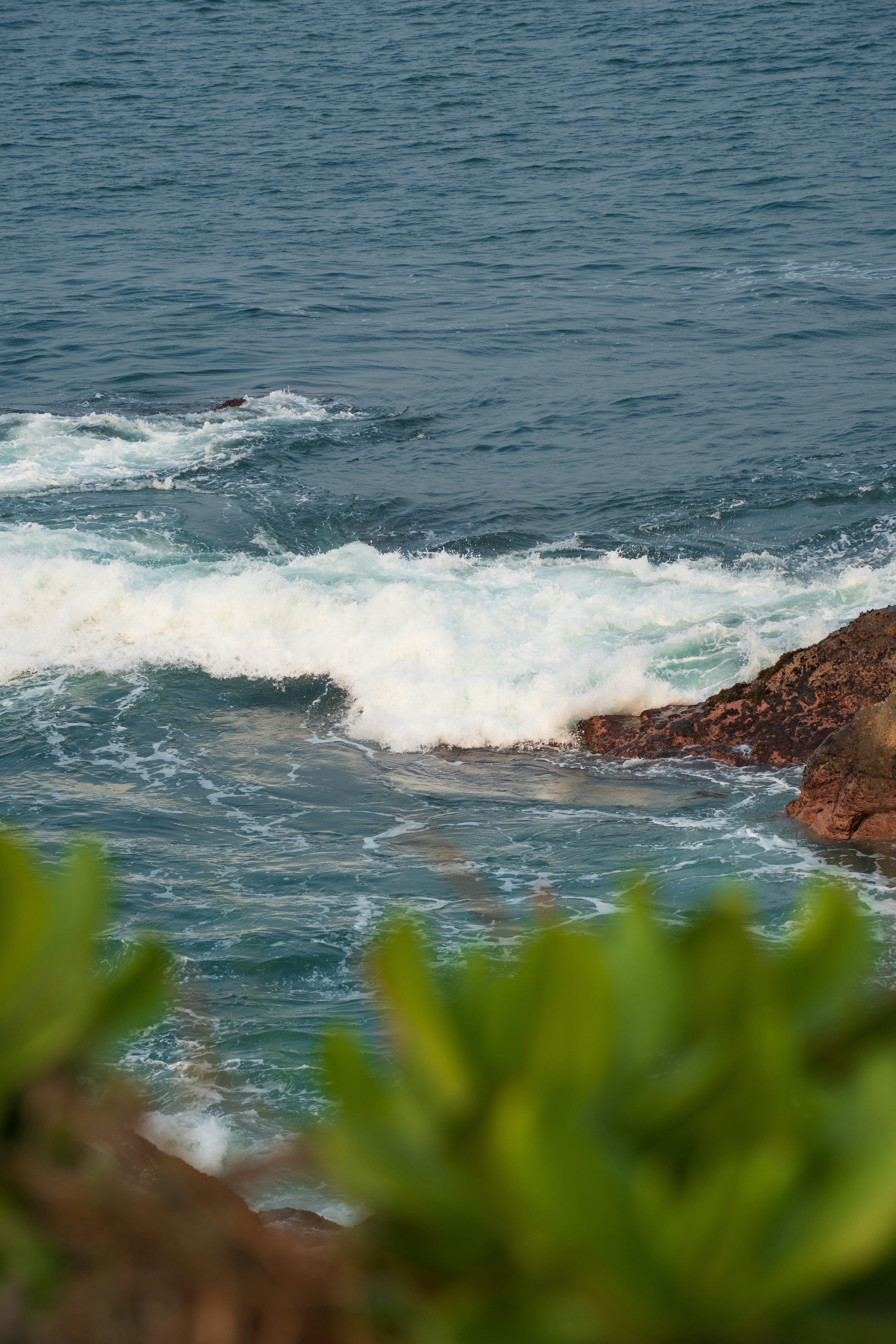 Waves crashing on rocky shore with green foliage