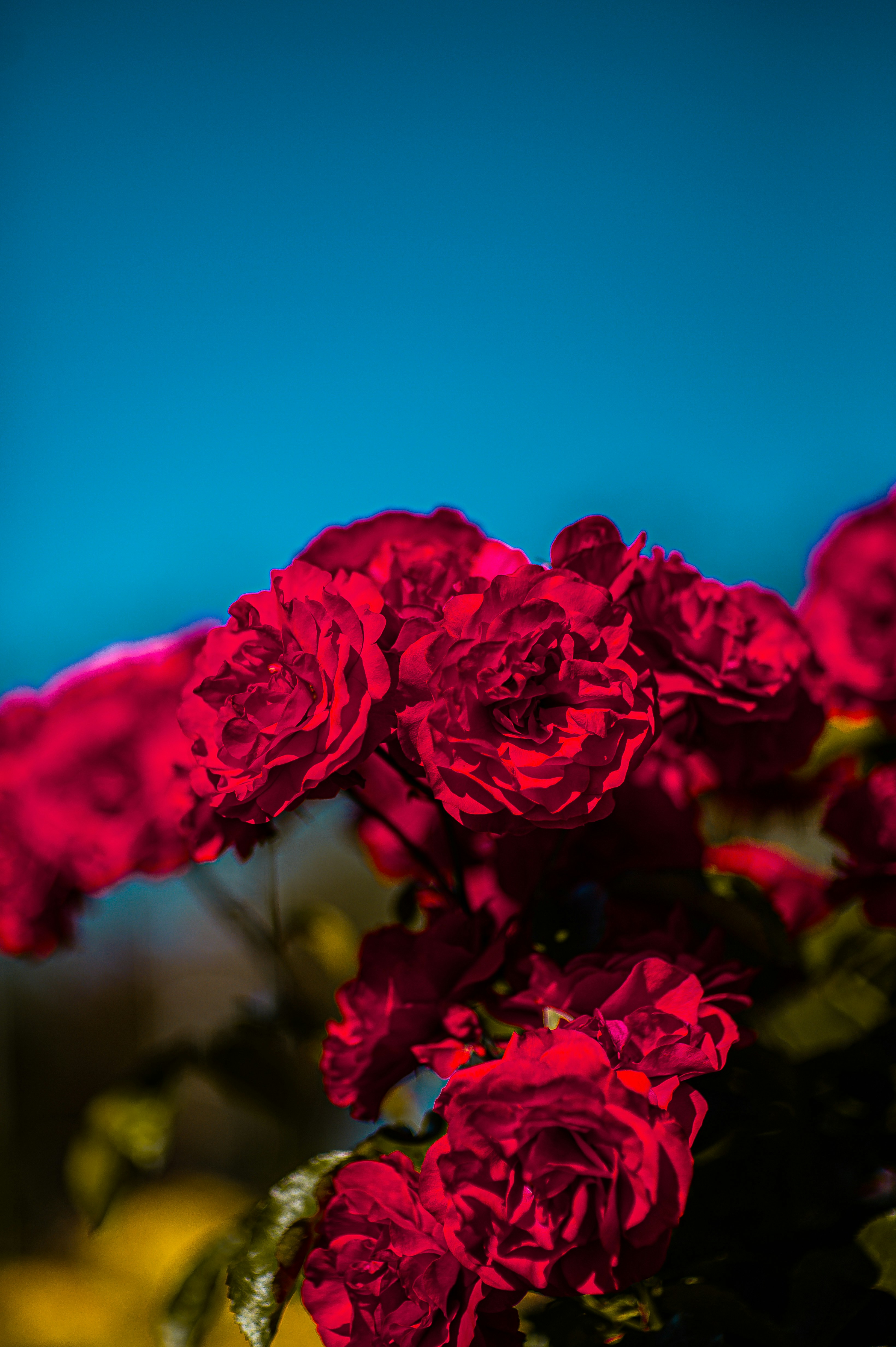 Photo by isoten