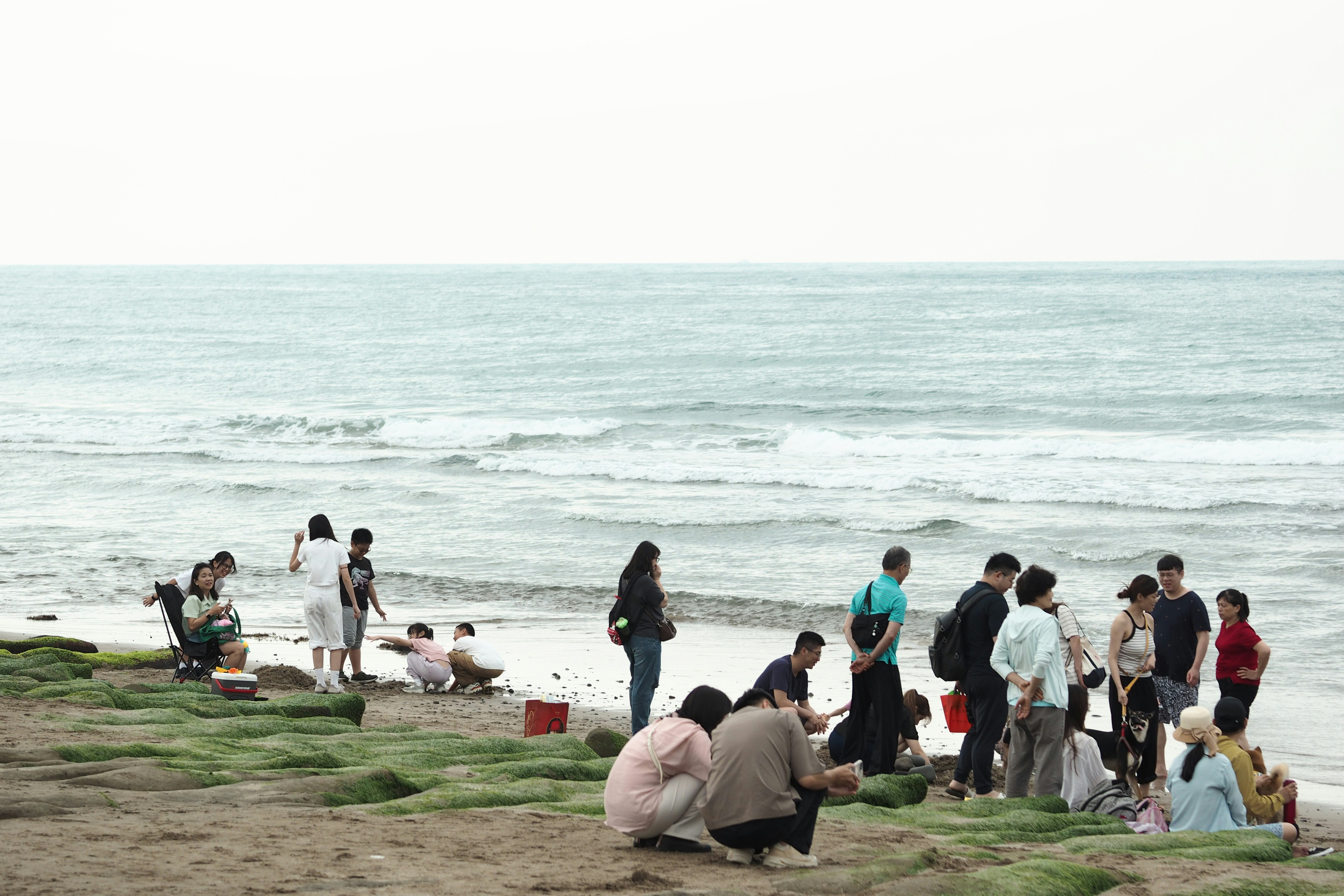 Orang-orang berkumpul di pantai dengan vegetasi hijau dan lautan.
