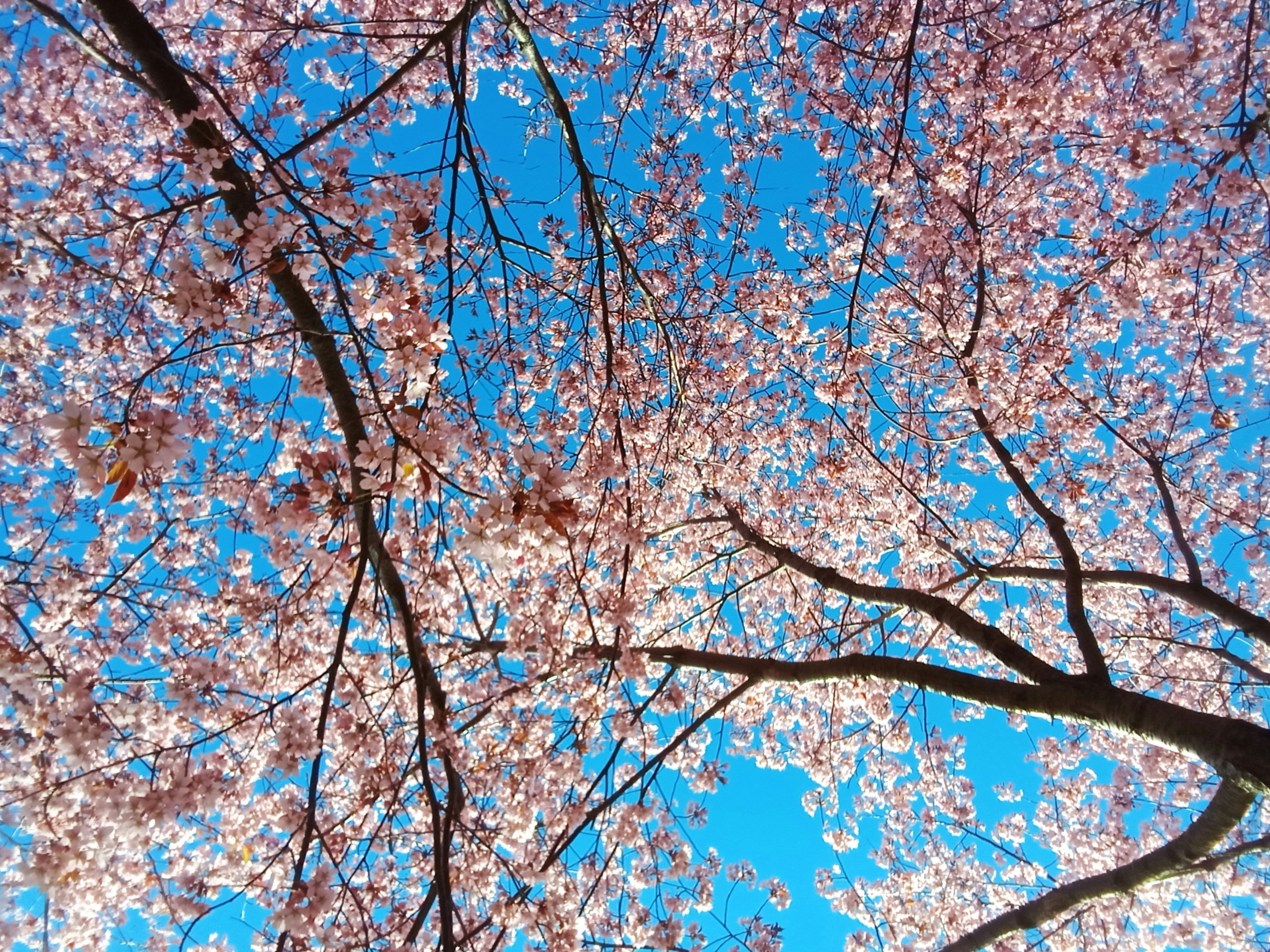 Photo by vm5qu