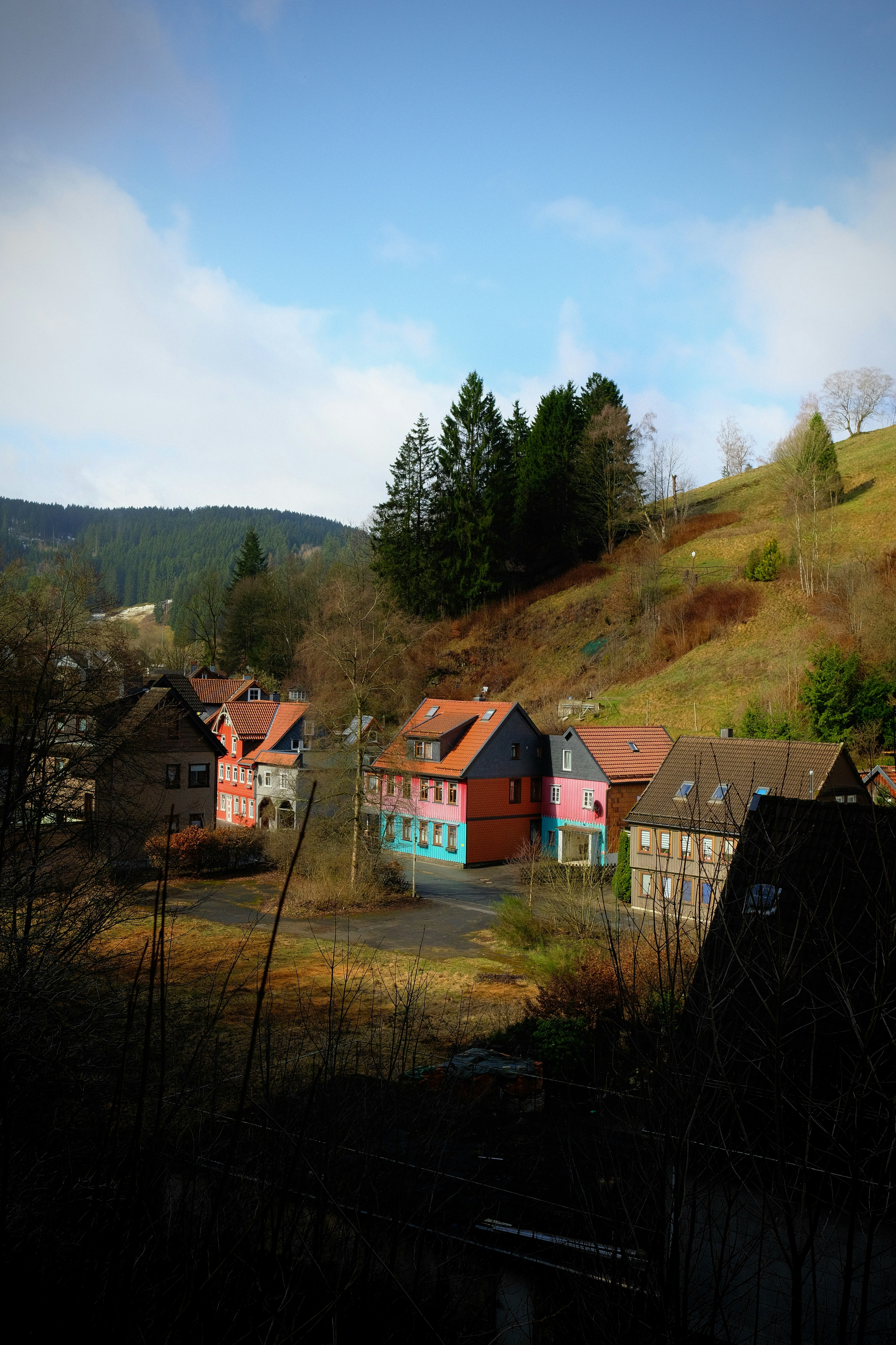 Expérience en tant que BFD à Bingenheim