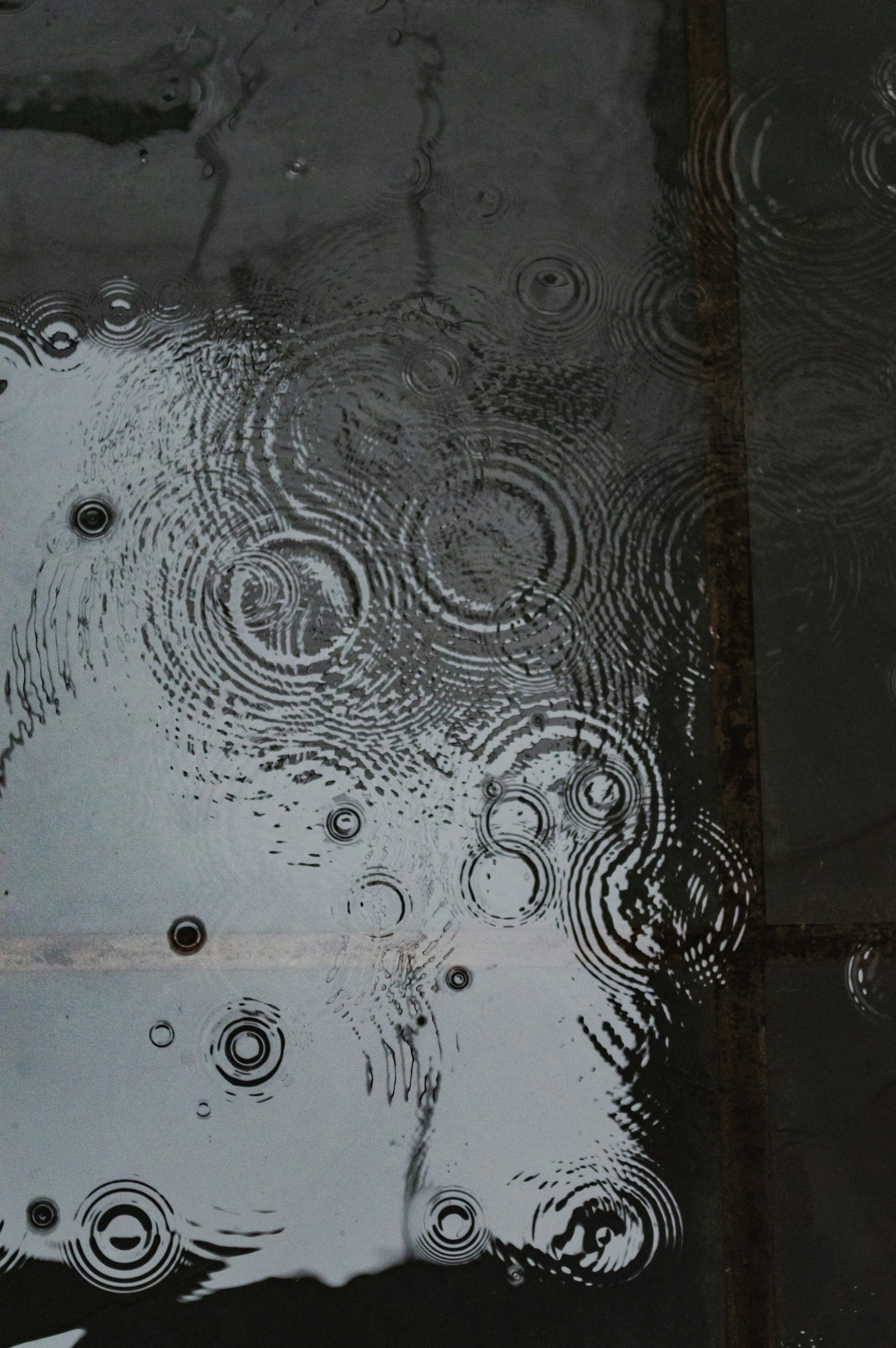 Gotas de chuva criando ondulações concêntricas em uma superfície escura e úmida.