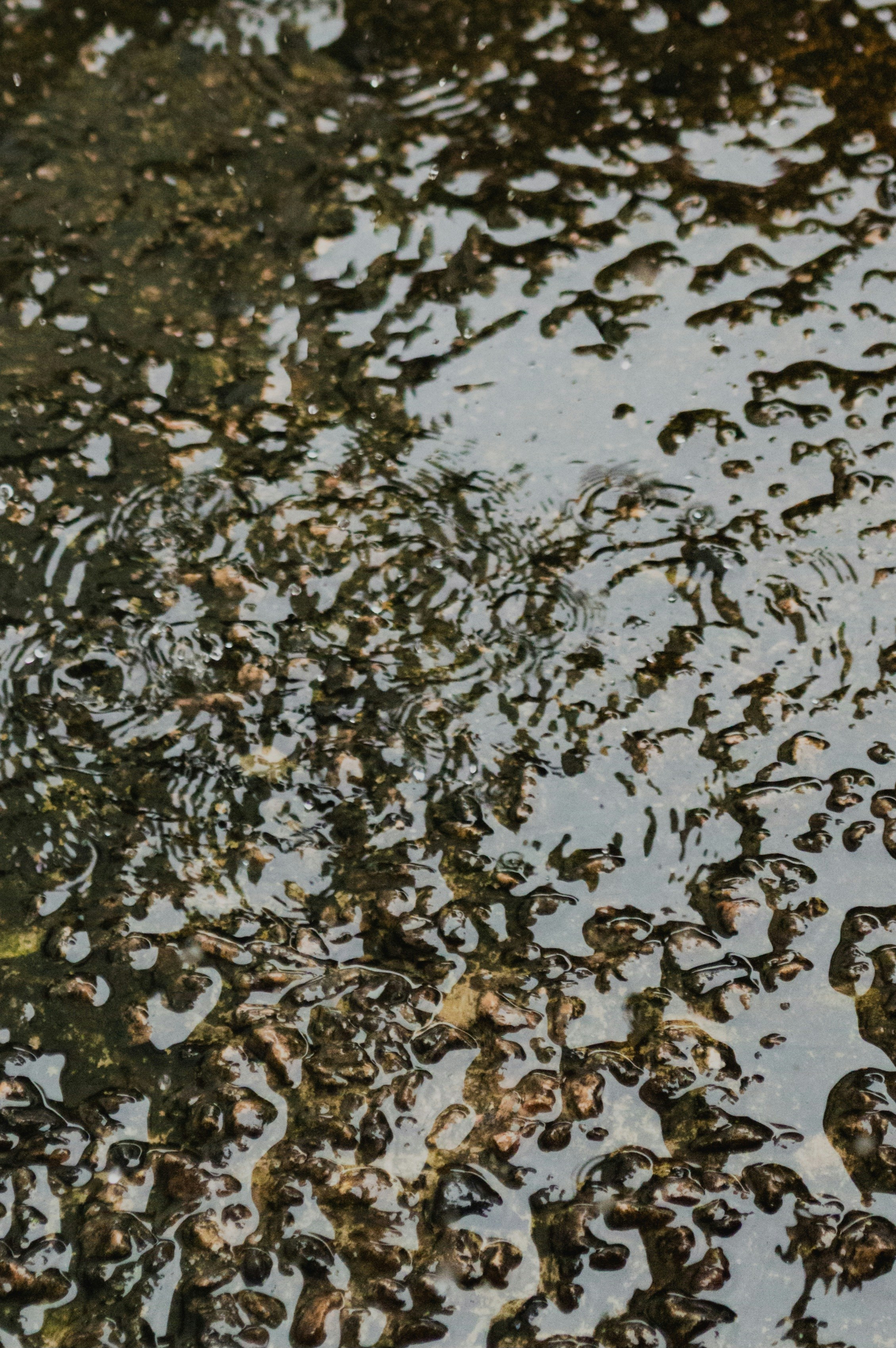 Gotas de chuva caindo sobre uma superfície úmida e texturizada