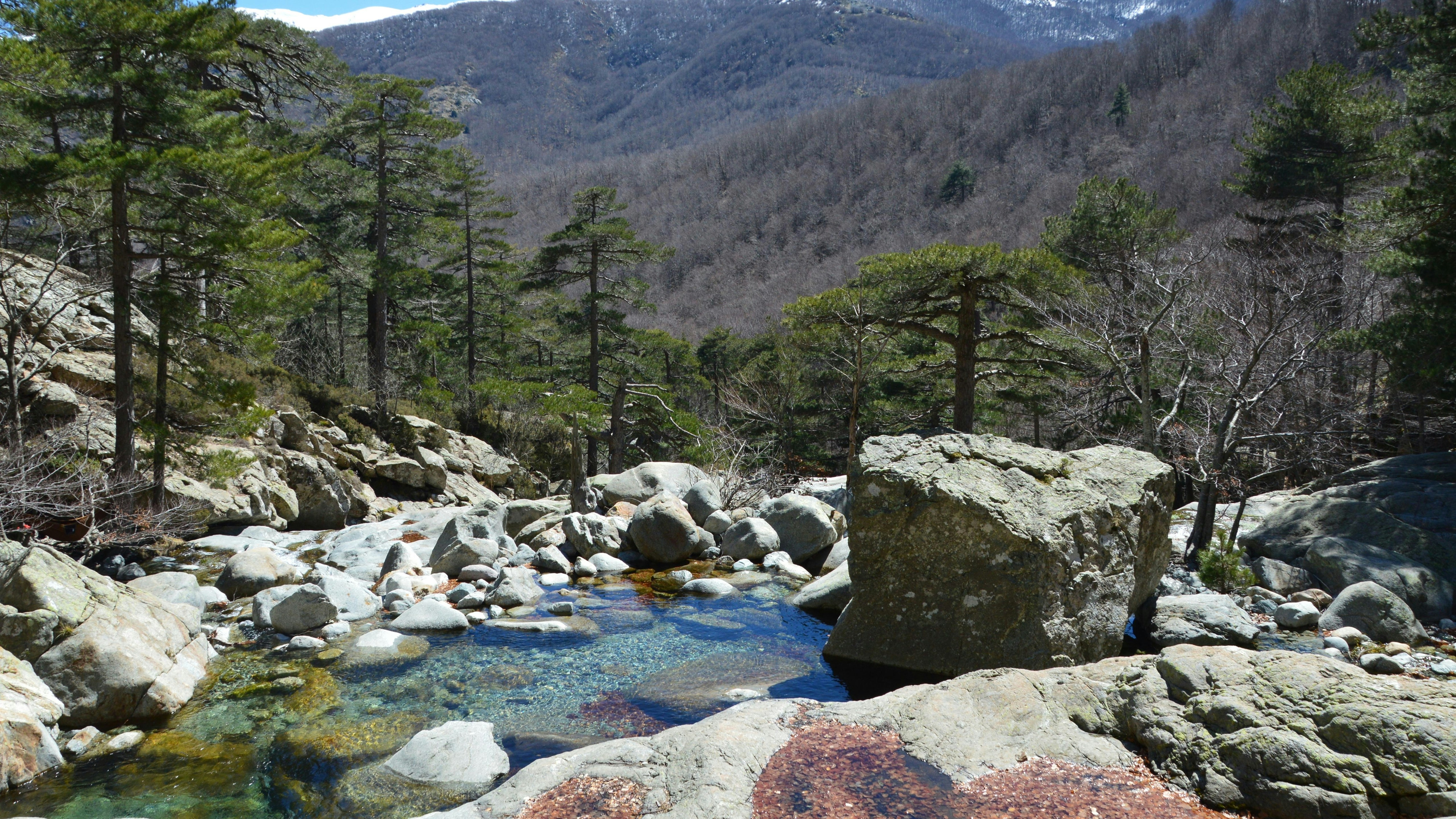 Un ruscello di montagna limpido che scorre attraverso un paesaggio forestale roccioso.