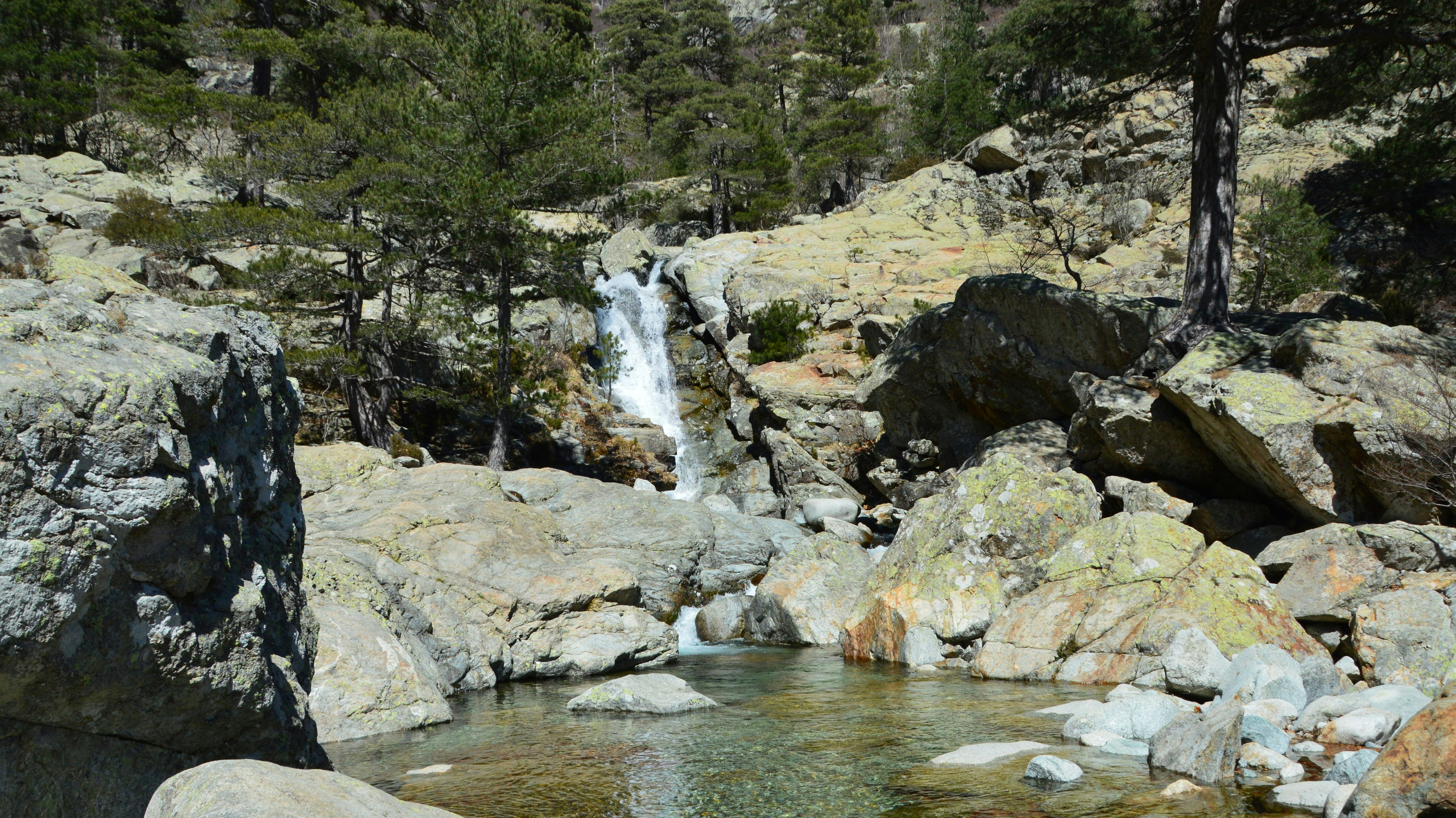 Una cascata scende in una piscina rocciosa circondata da alberi.