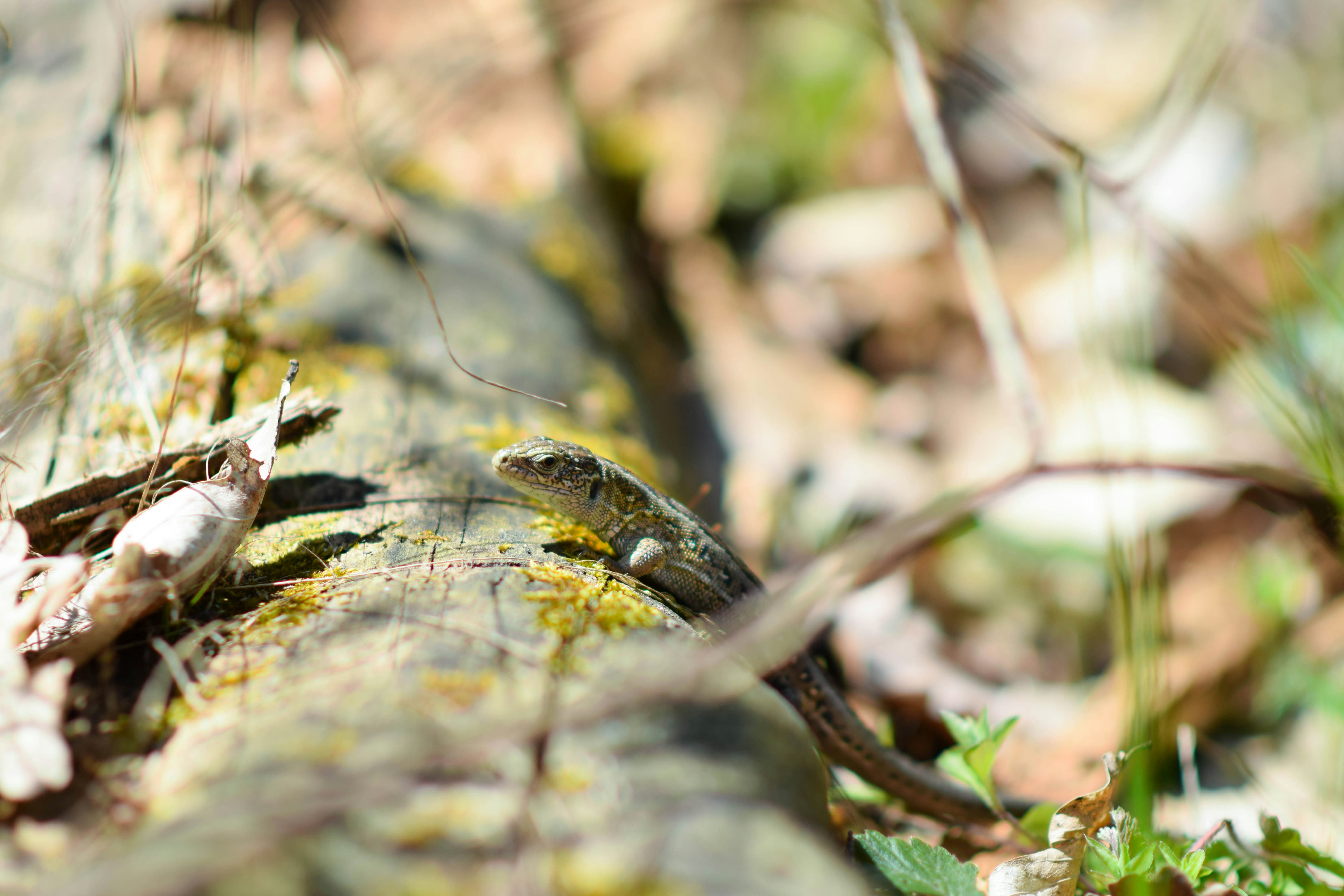 Photo by bdv91