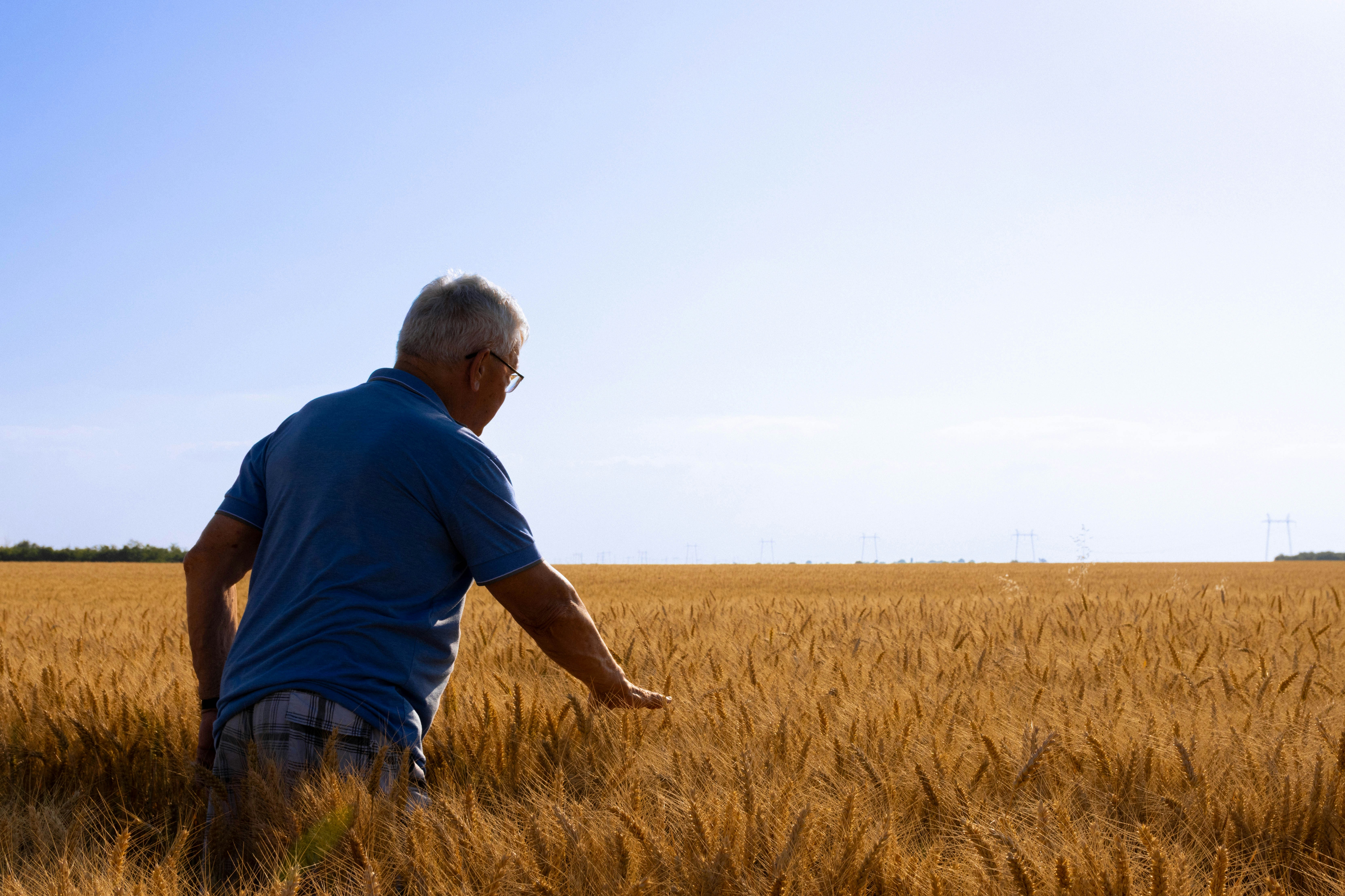 Unlocking the Story Your Soil Has Been Telling All Along: The Power of Digitized Farm Records