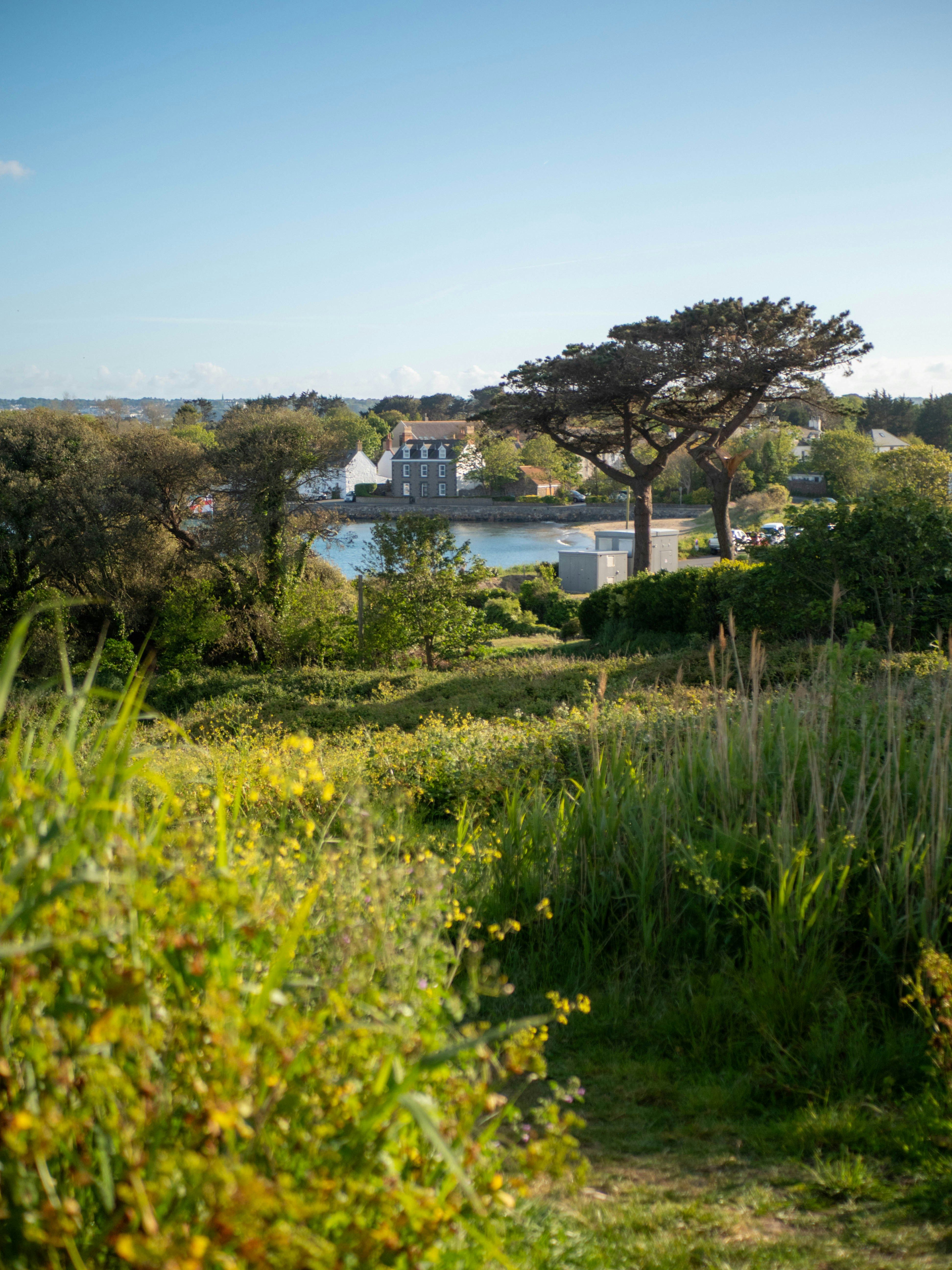Lush green landscape with trees and distant buildings.