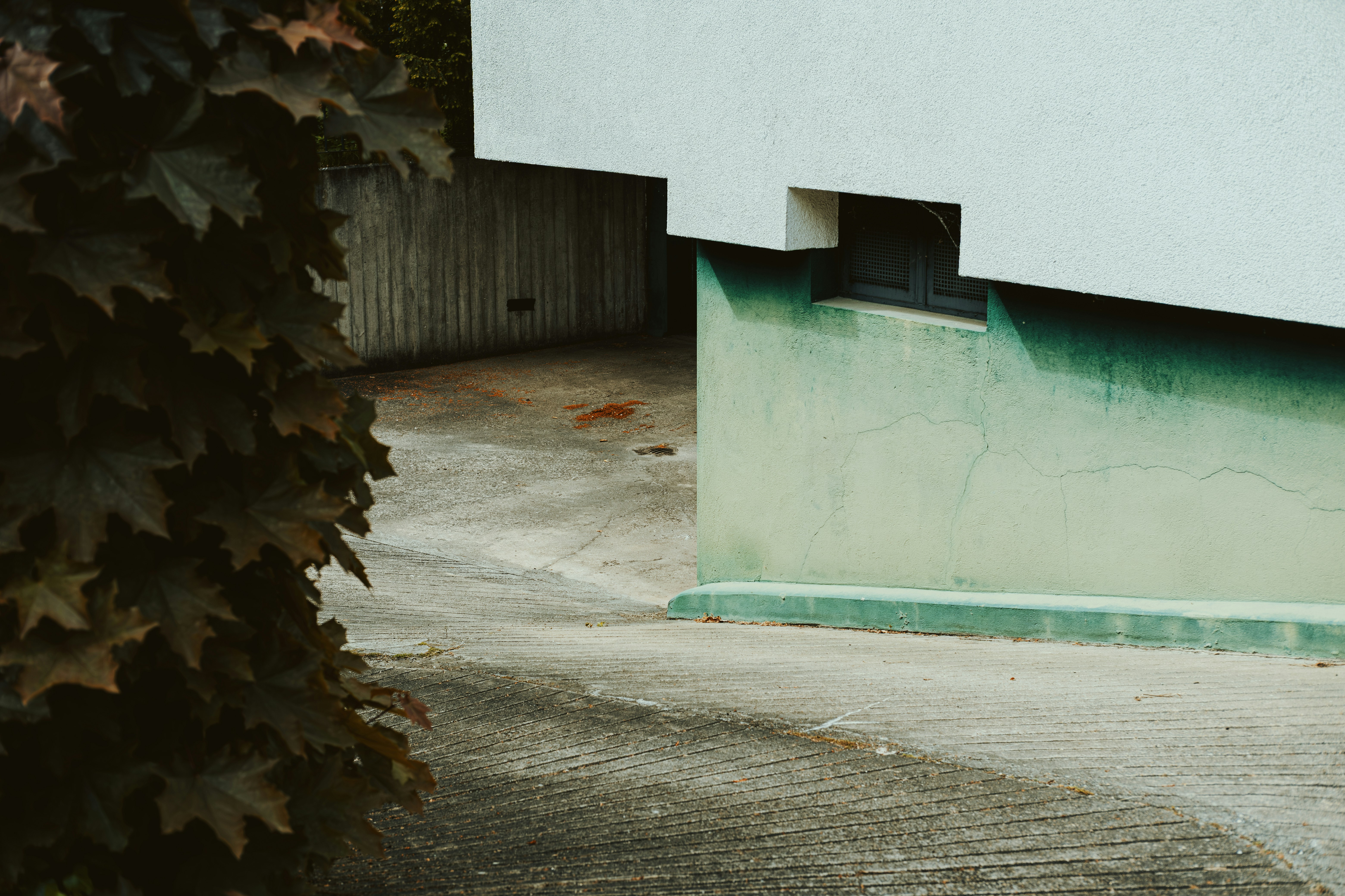 Photo by cubeofwood