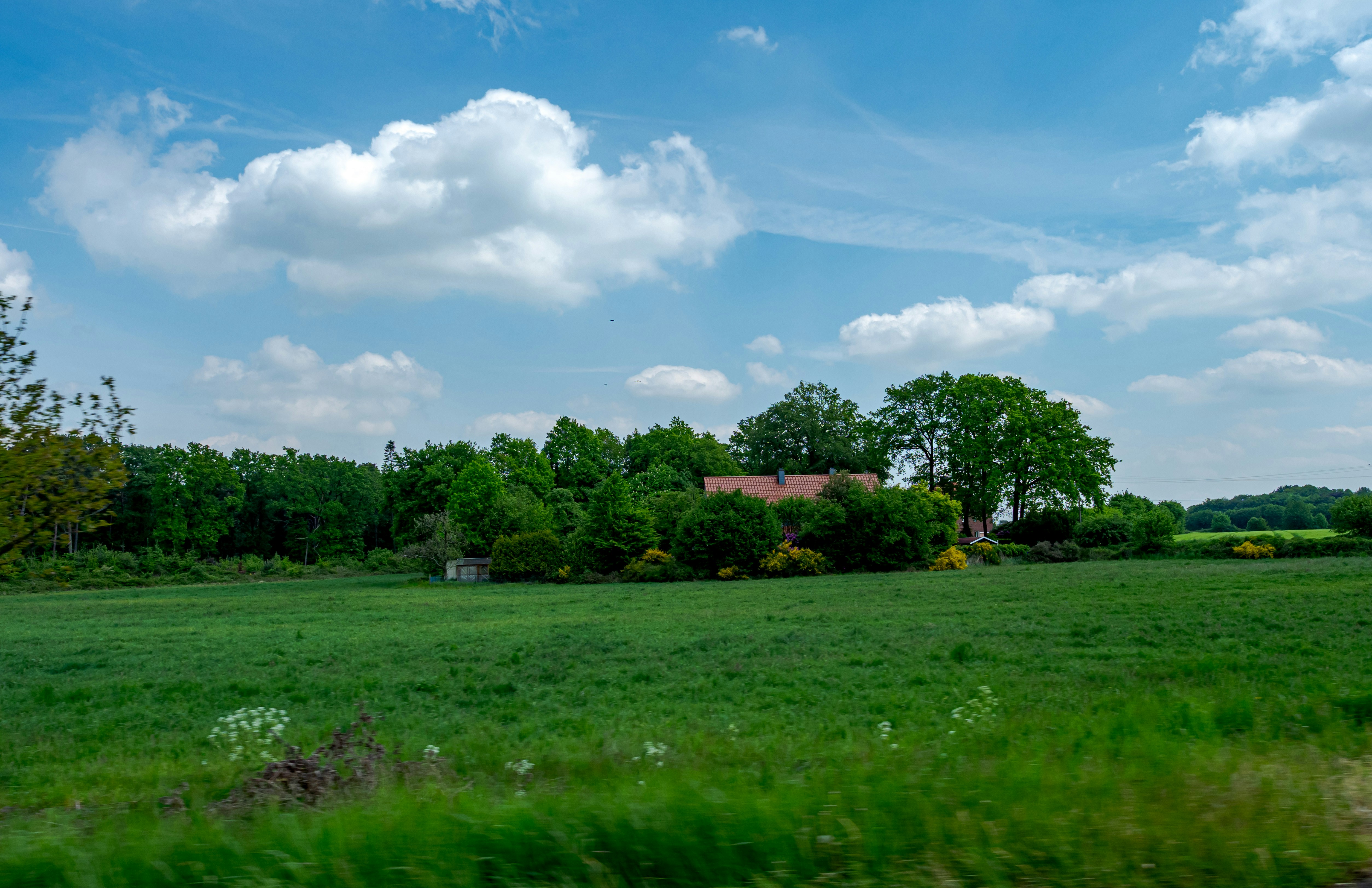 Photo by skstrannik