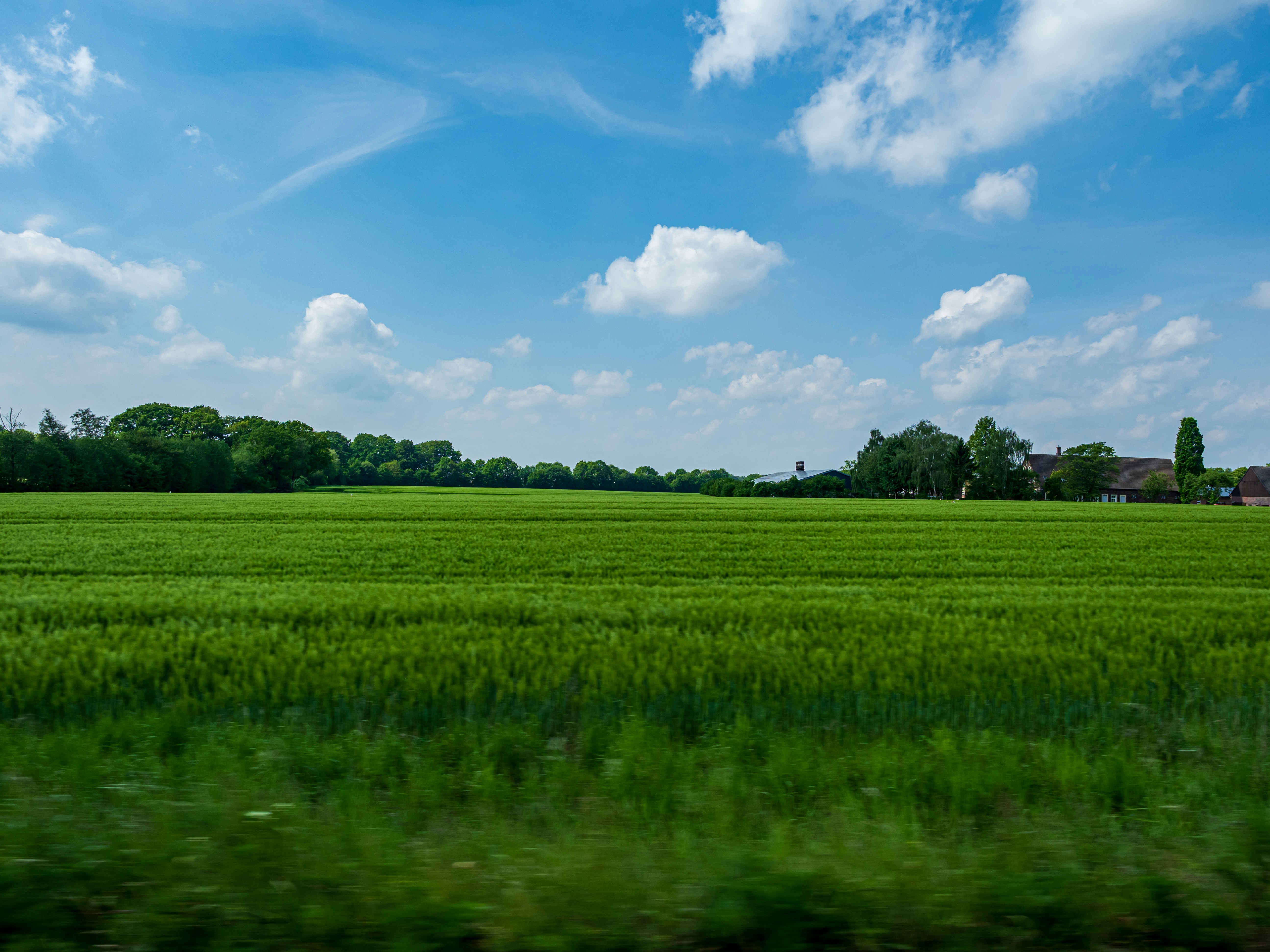 Photo by skstrannik