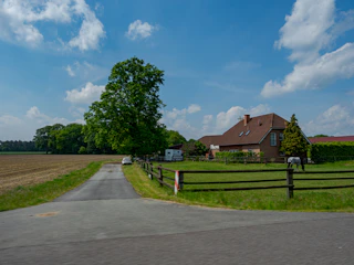 Rural driveway leading to a farmhouse, large tree, and horse.