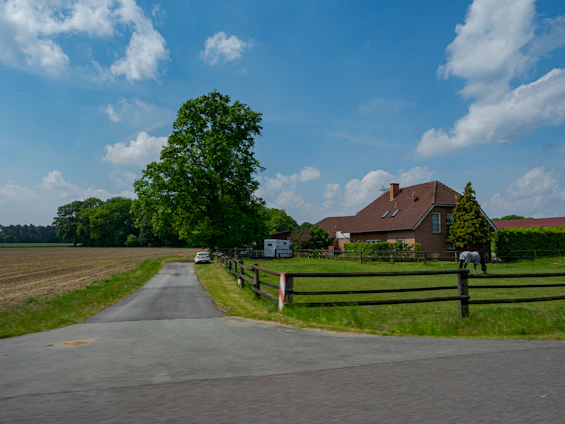Rural driveway leading to a farmhouse, large tree, and horse.