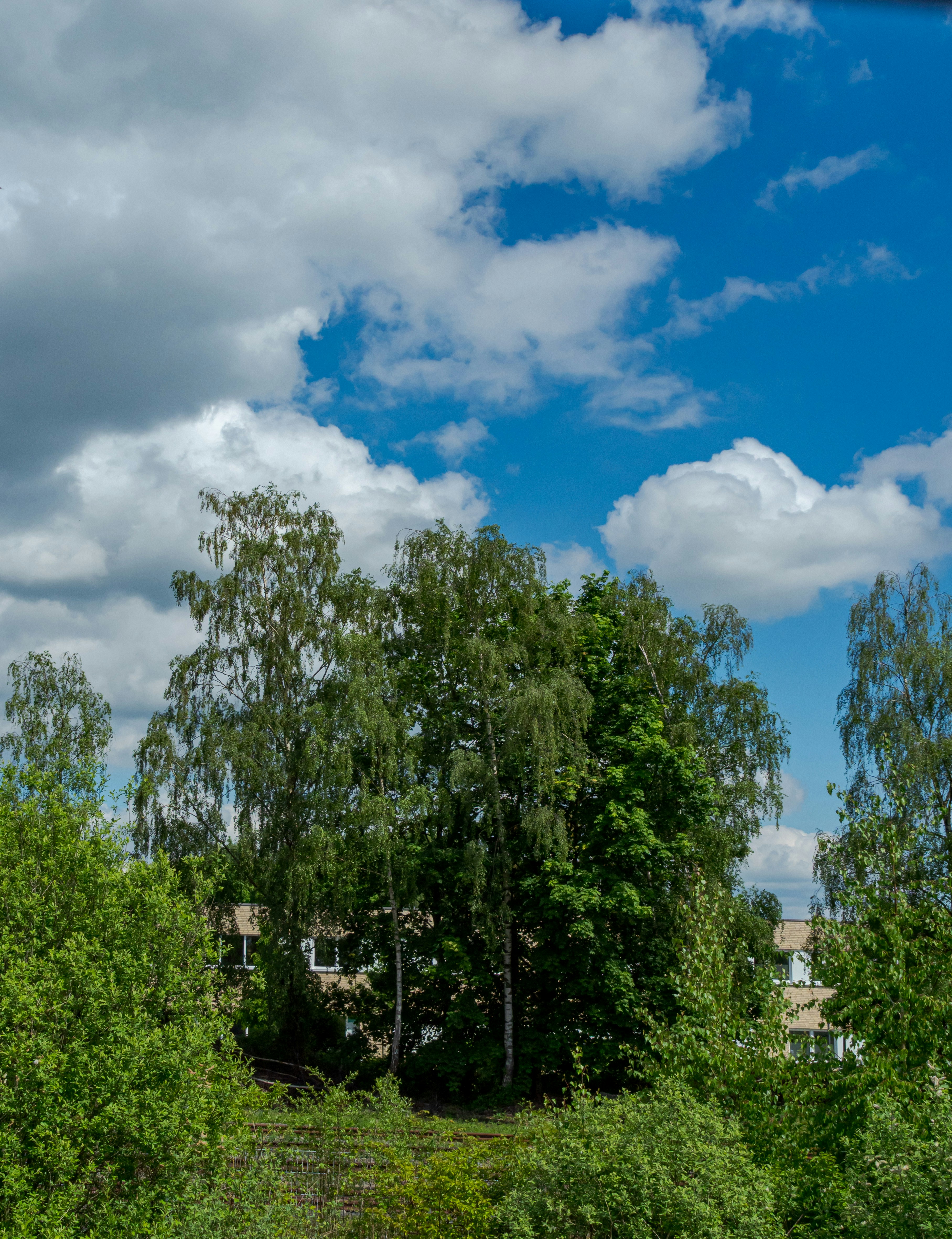 Photo by skstrannik