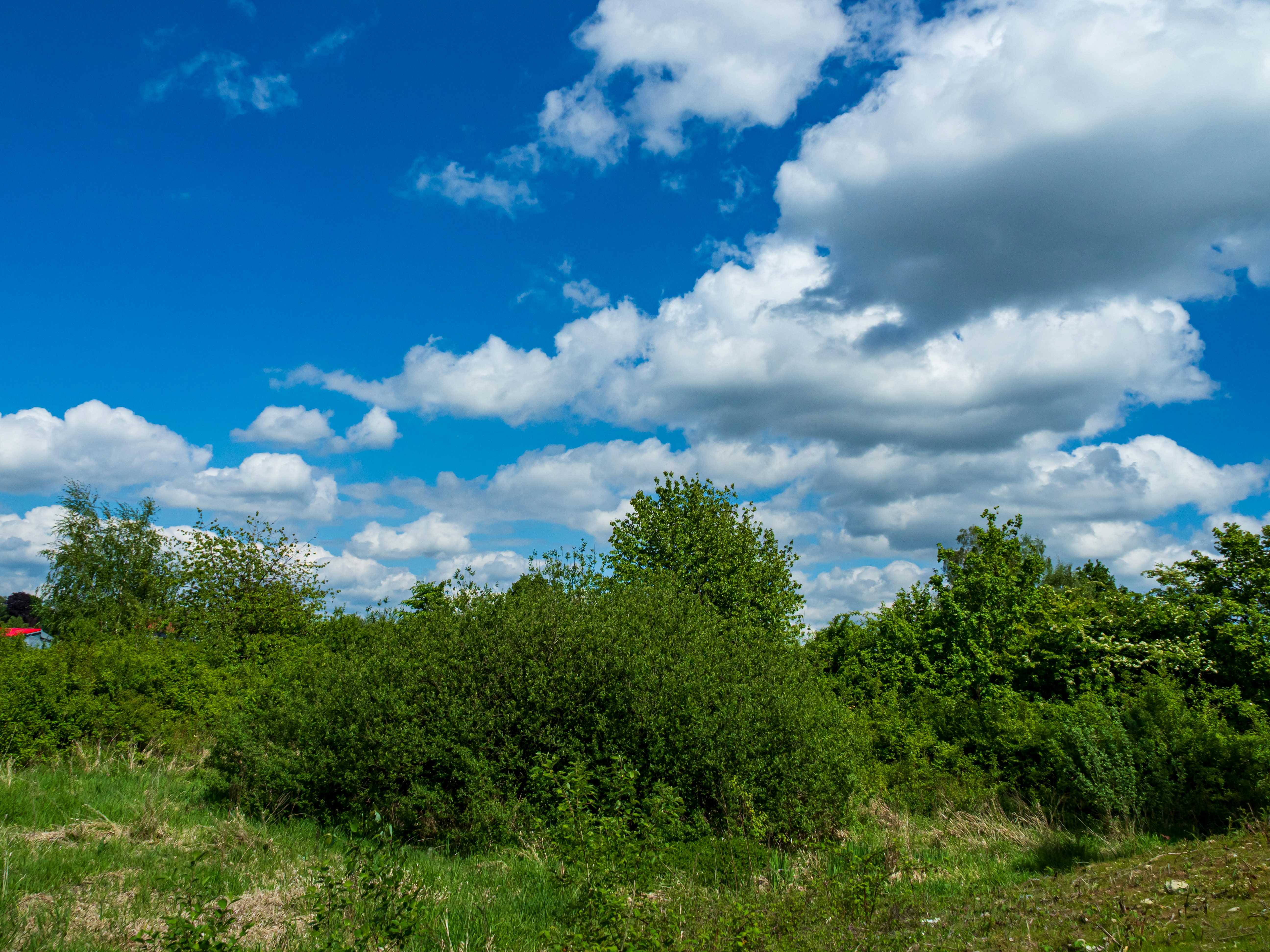 Photo by skstrannik