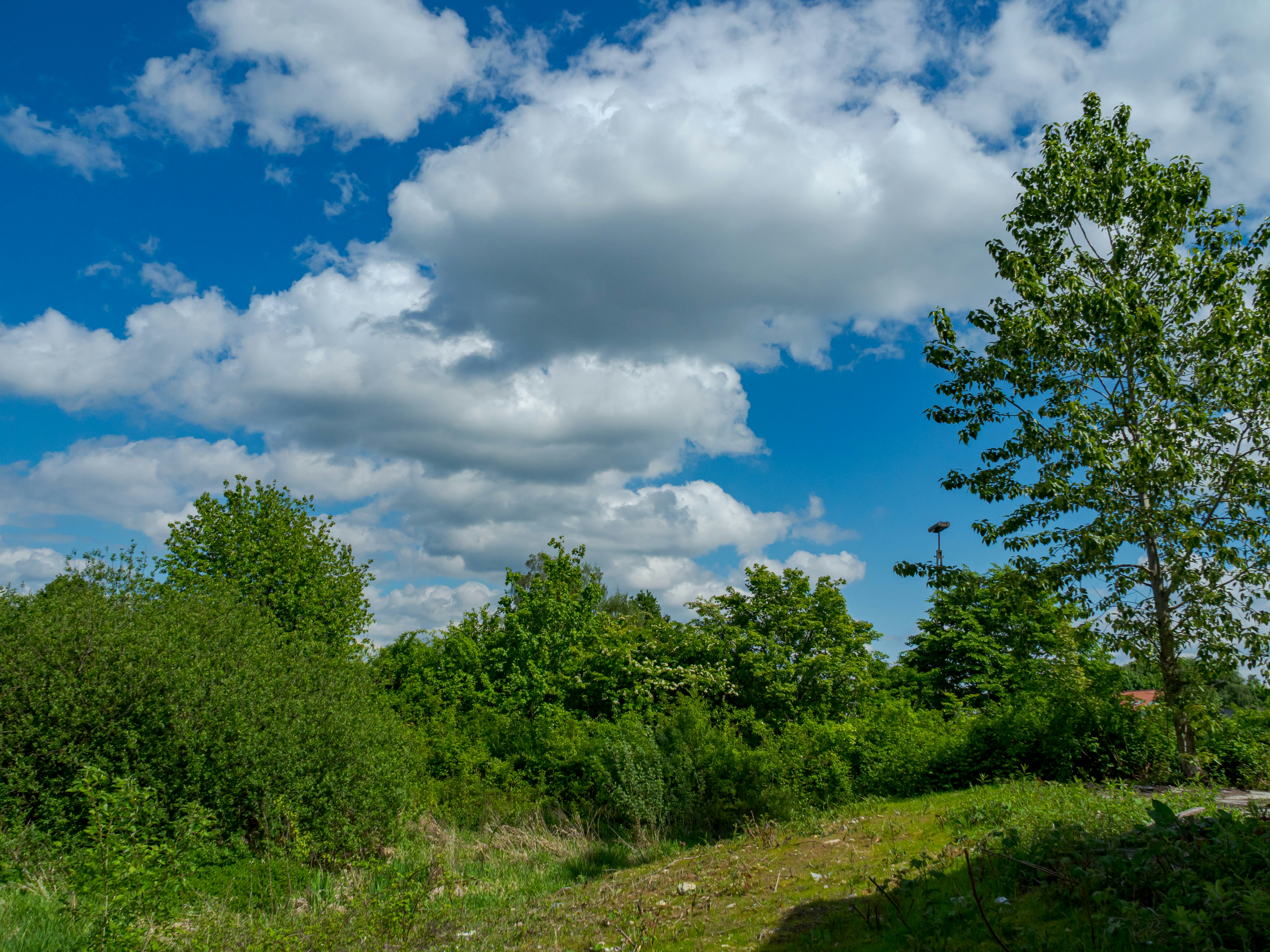 Photo by skstrannik
