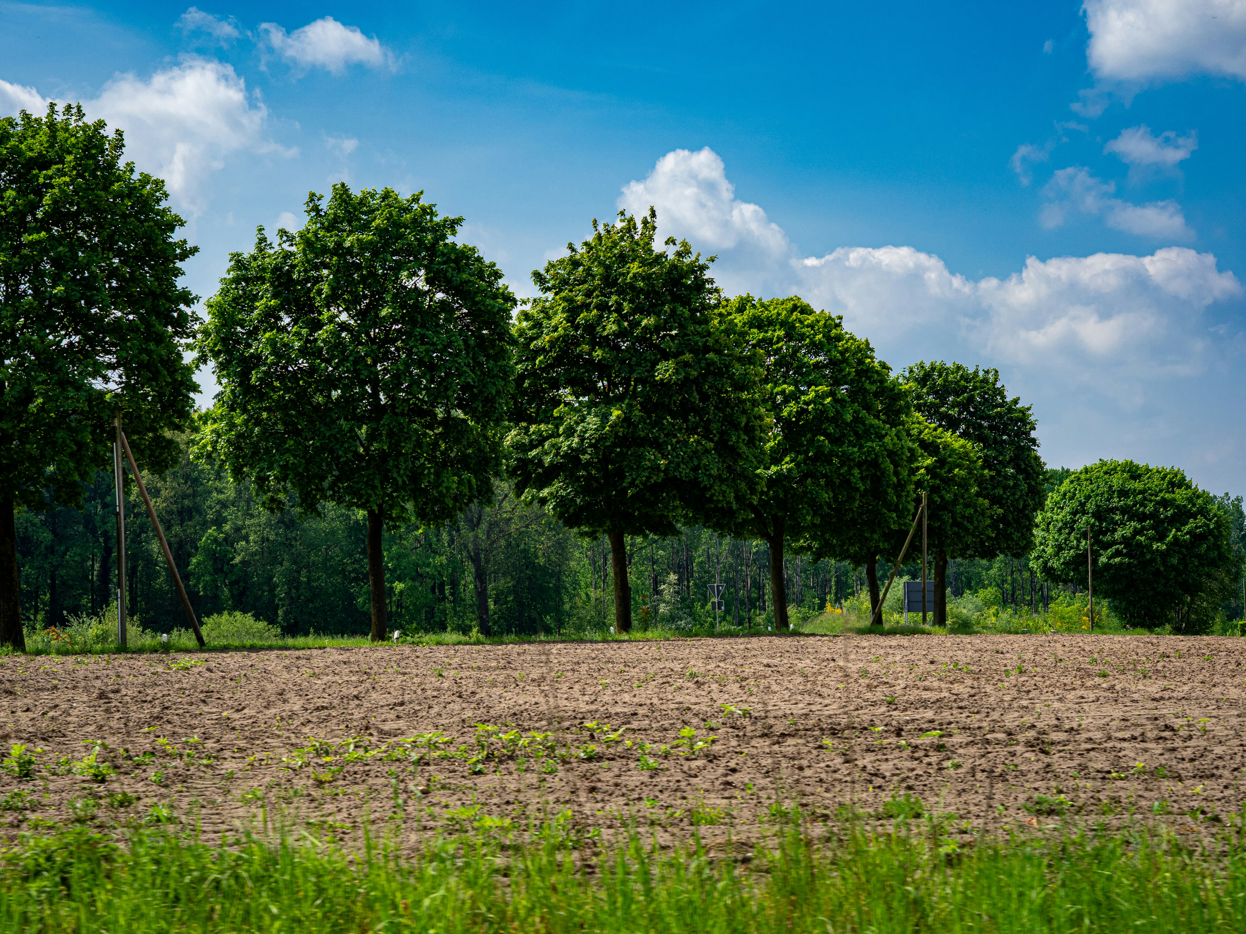 Photo by skstrannik