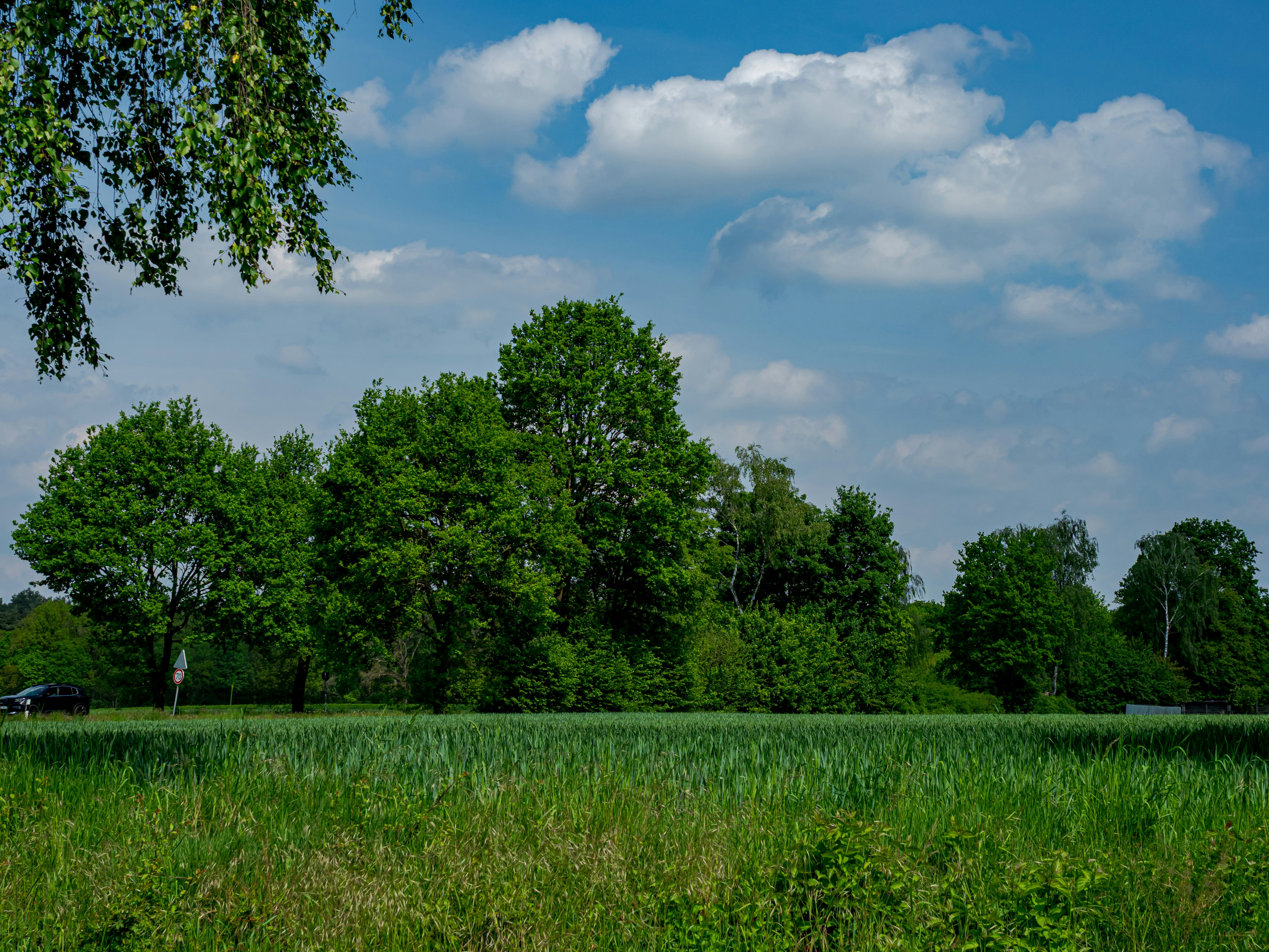 Photo by skstrannik