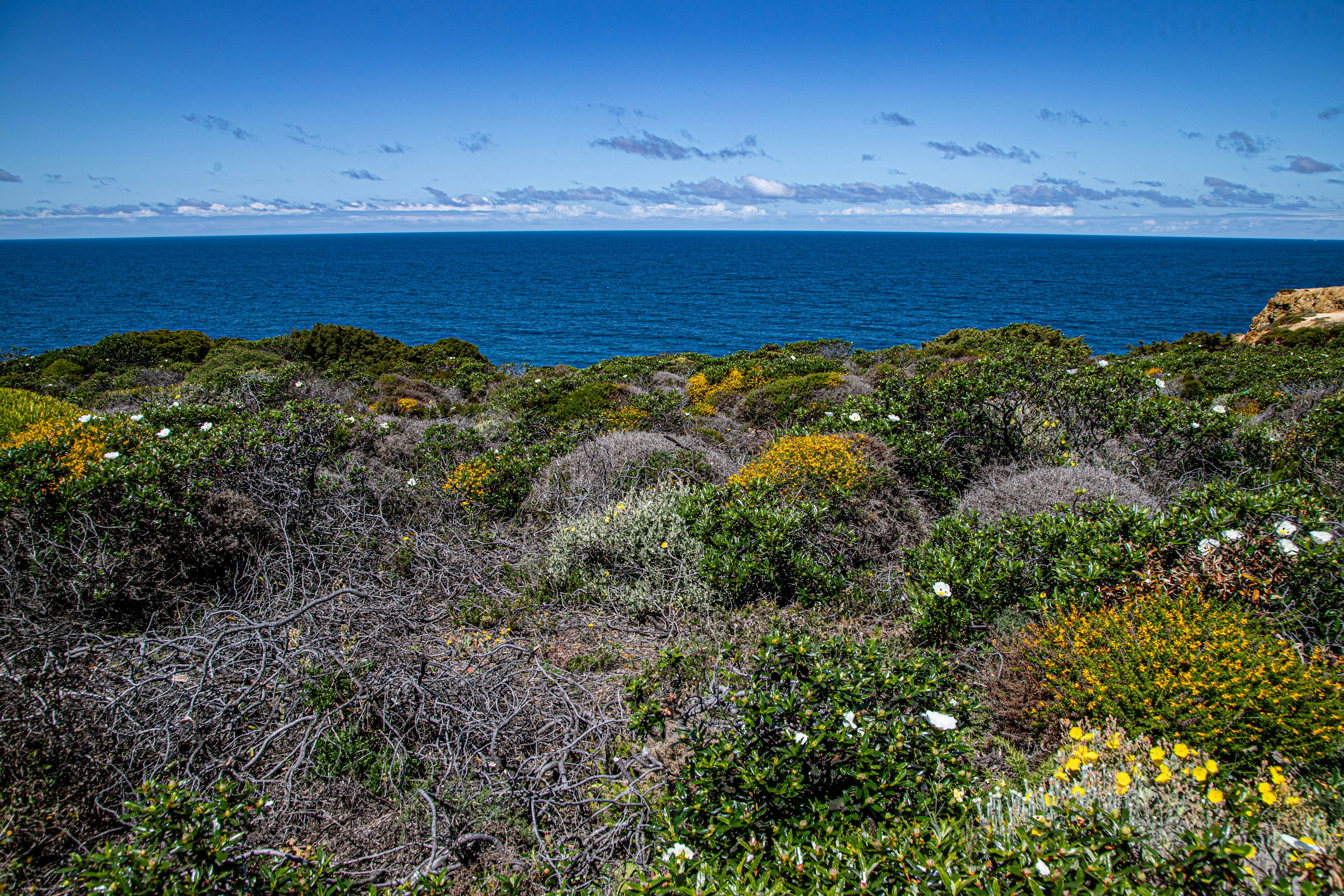 Photo by hdbernd