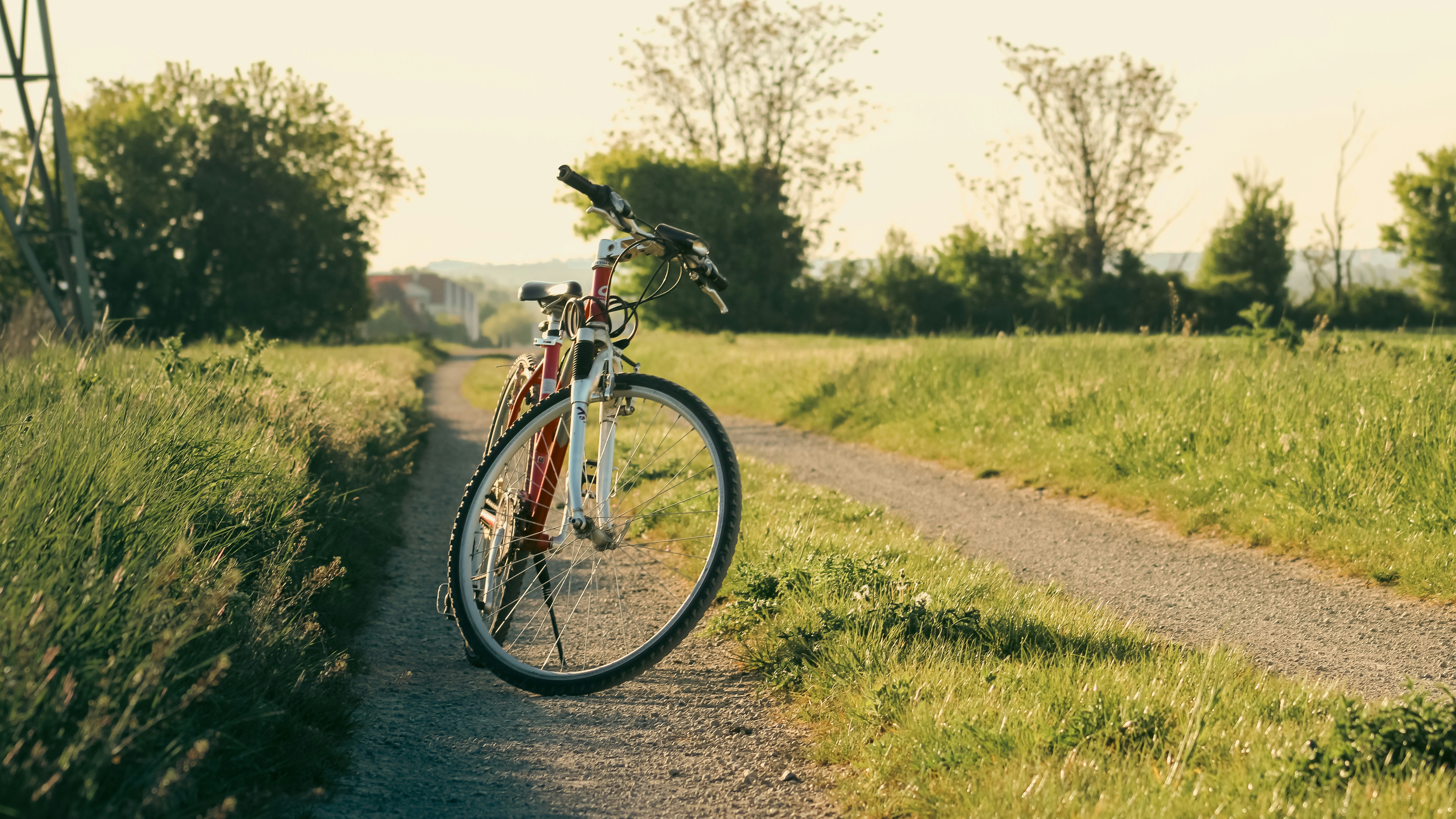 Two bicycles parked on a dirt path in a field.