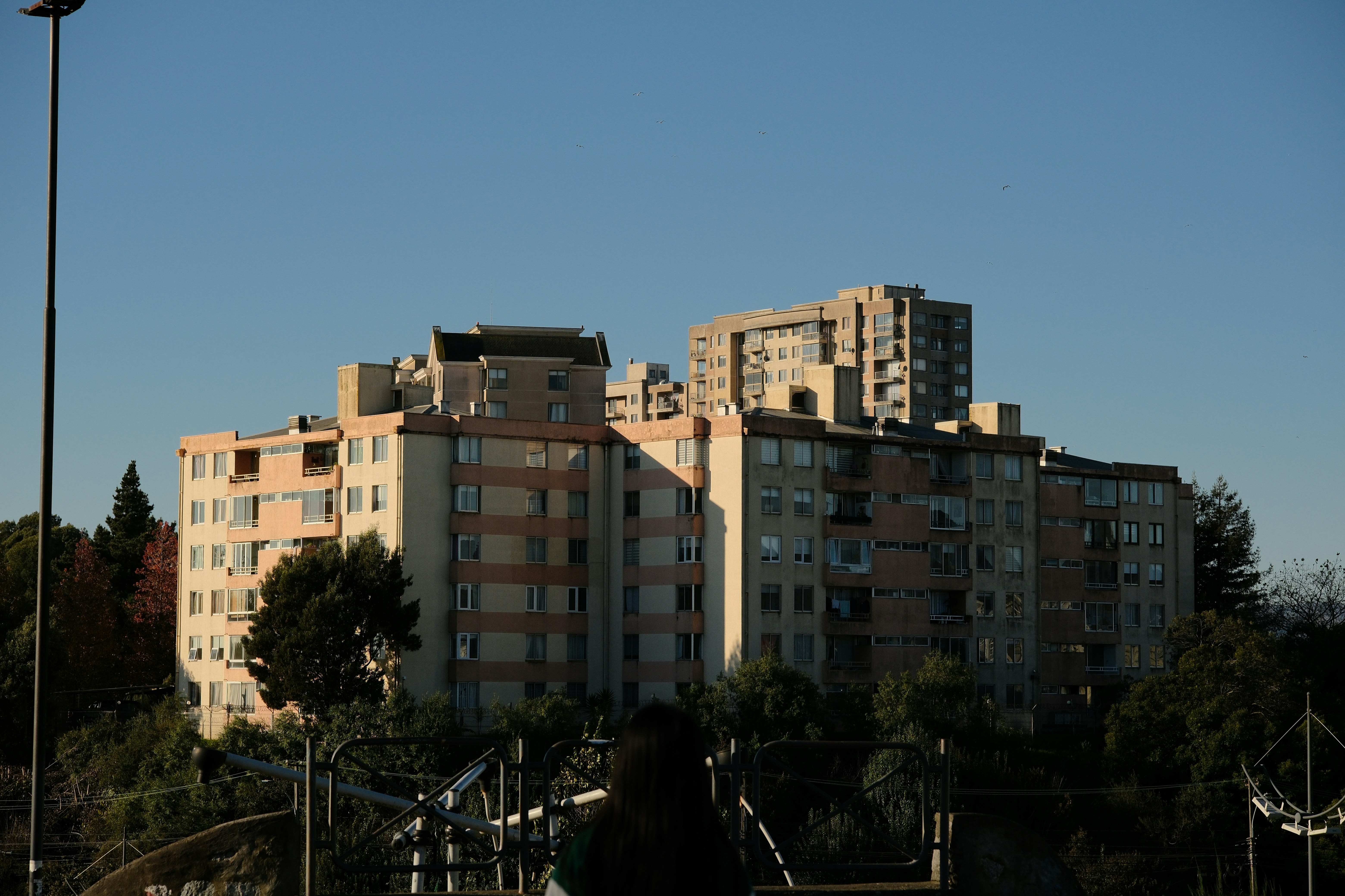 Photo by yaguer