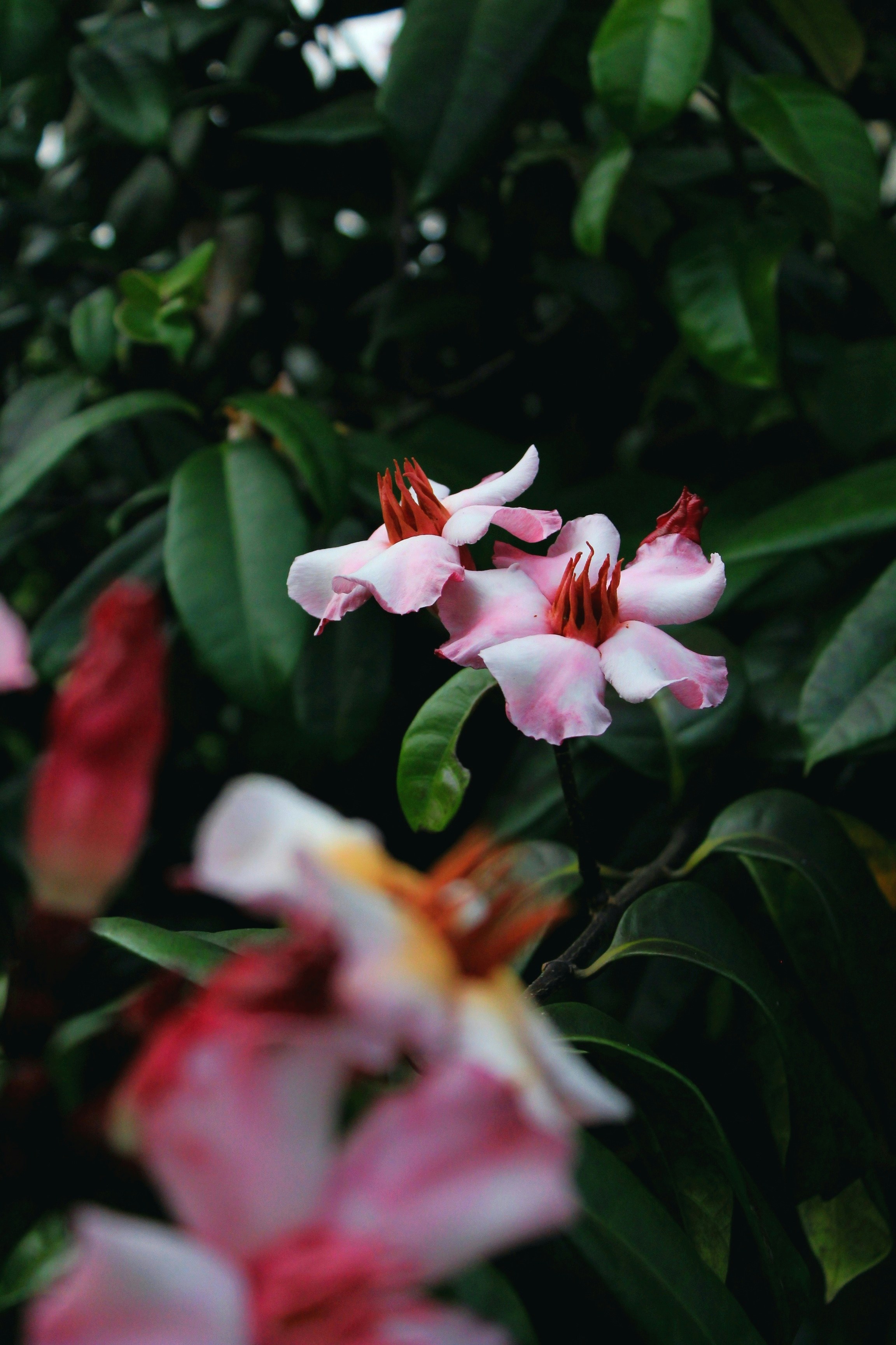 Photo by errent