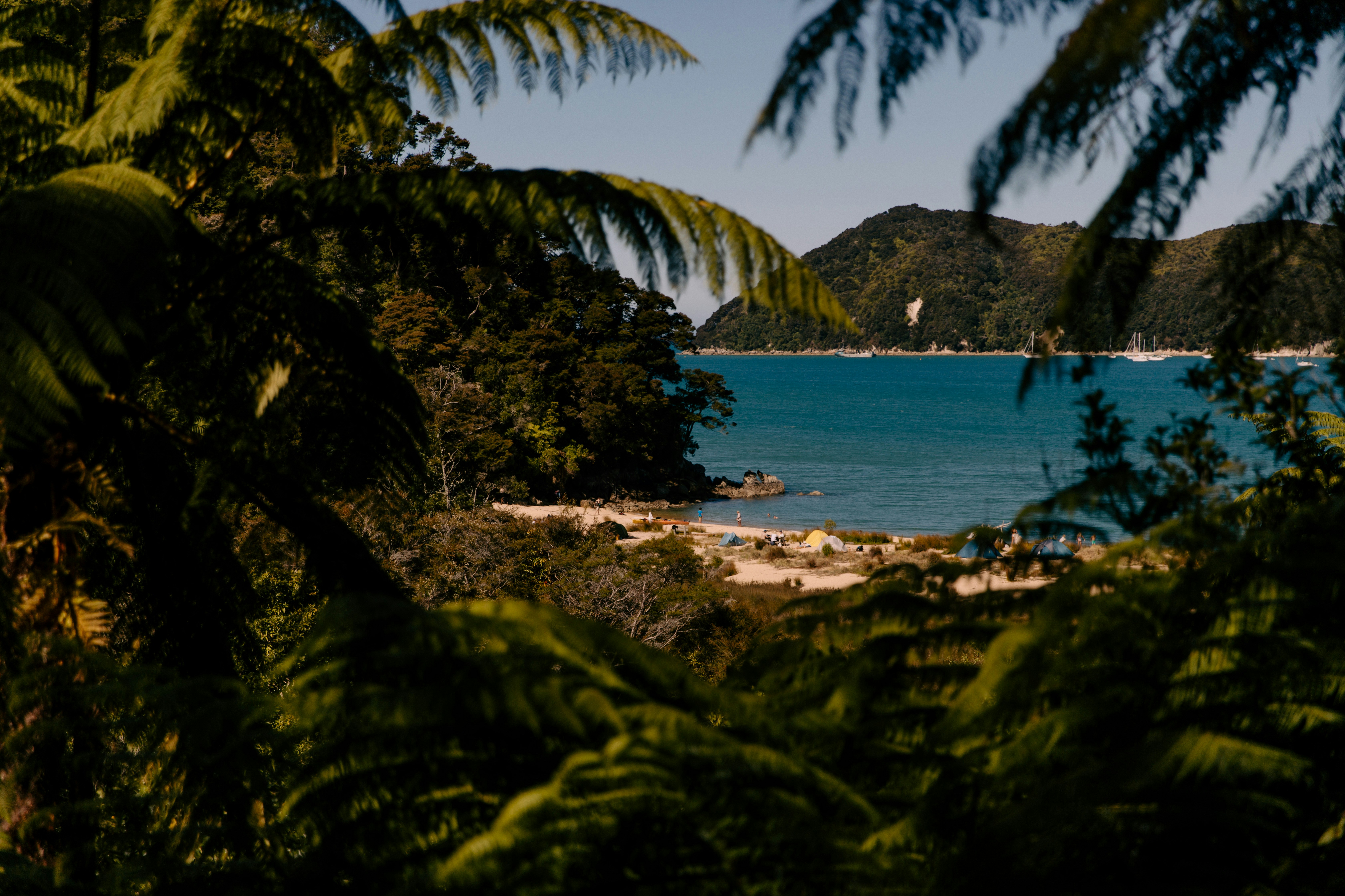 Photo by createinme_nz
