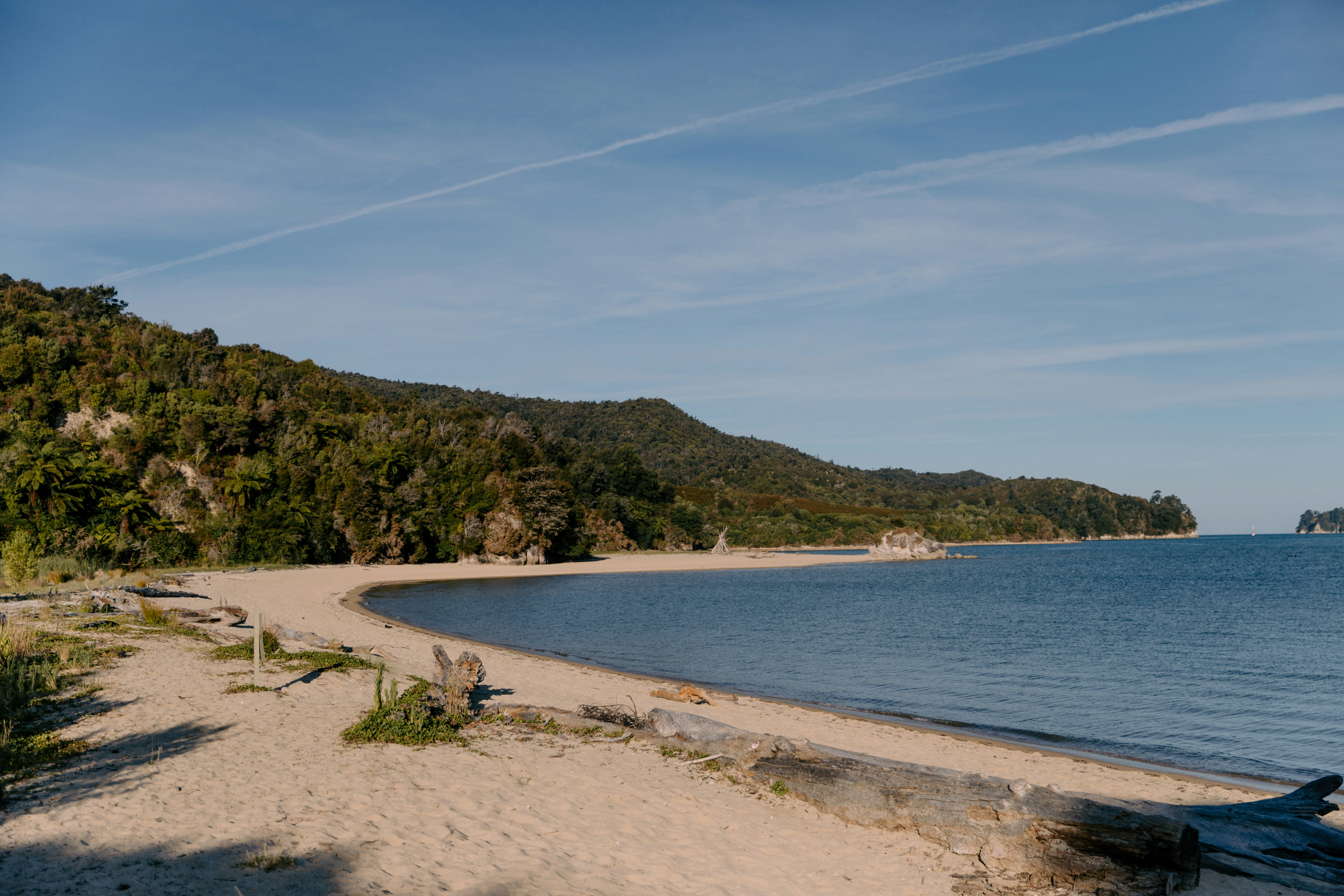 Sandy beach with forested hills and calm blue water.